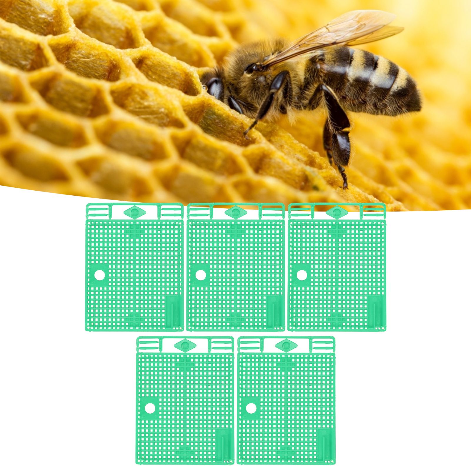 5Pcs Reusable Queen Bee Isolator Portable Queen Introducing Cage Beekeeping view 12