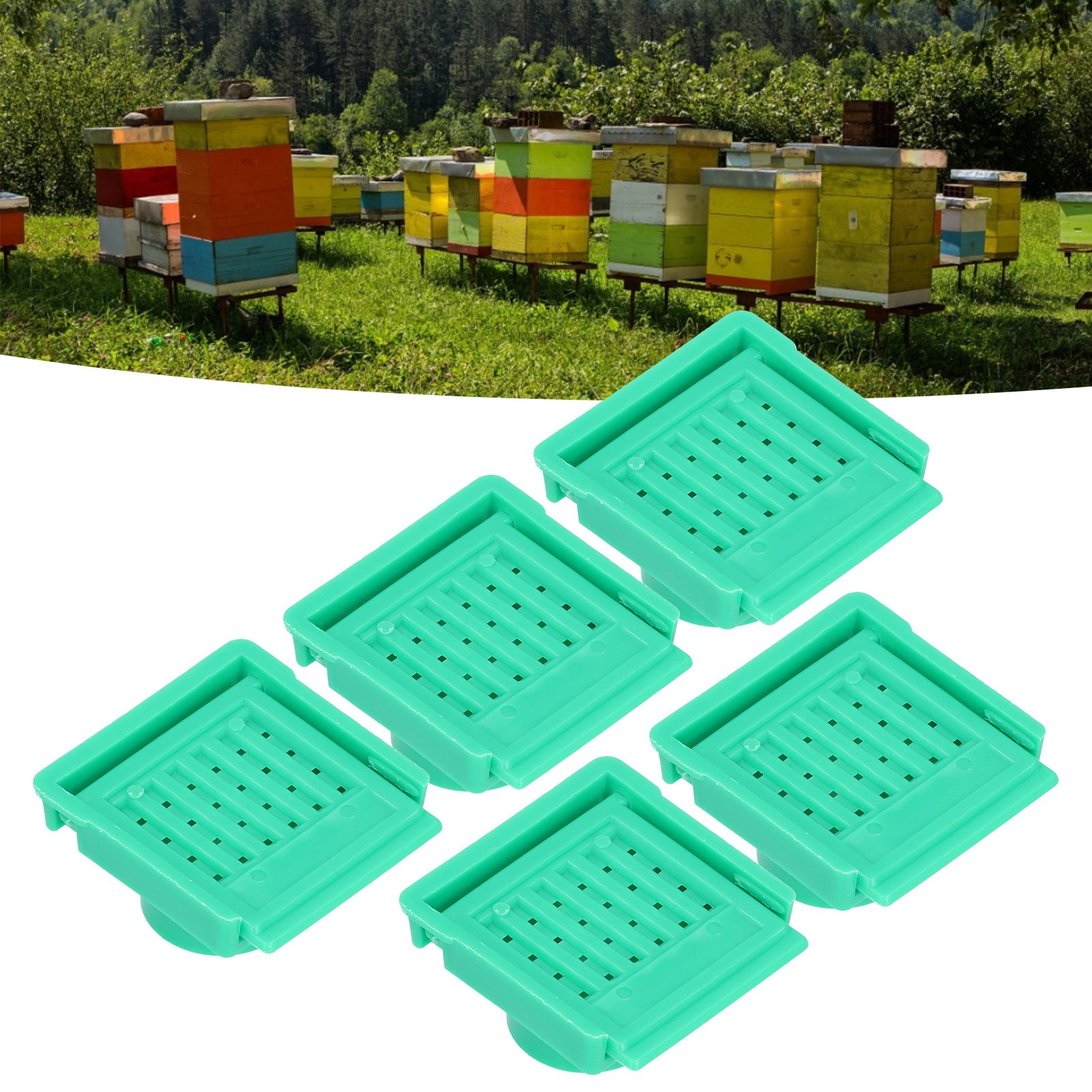 5Pcs Beehive Vent Lightweight ABS NonToxic EscapeProof Breathable Beehive view 11