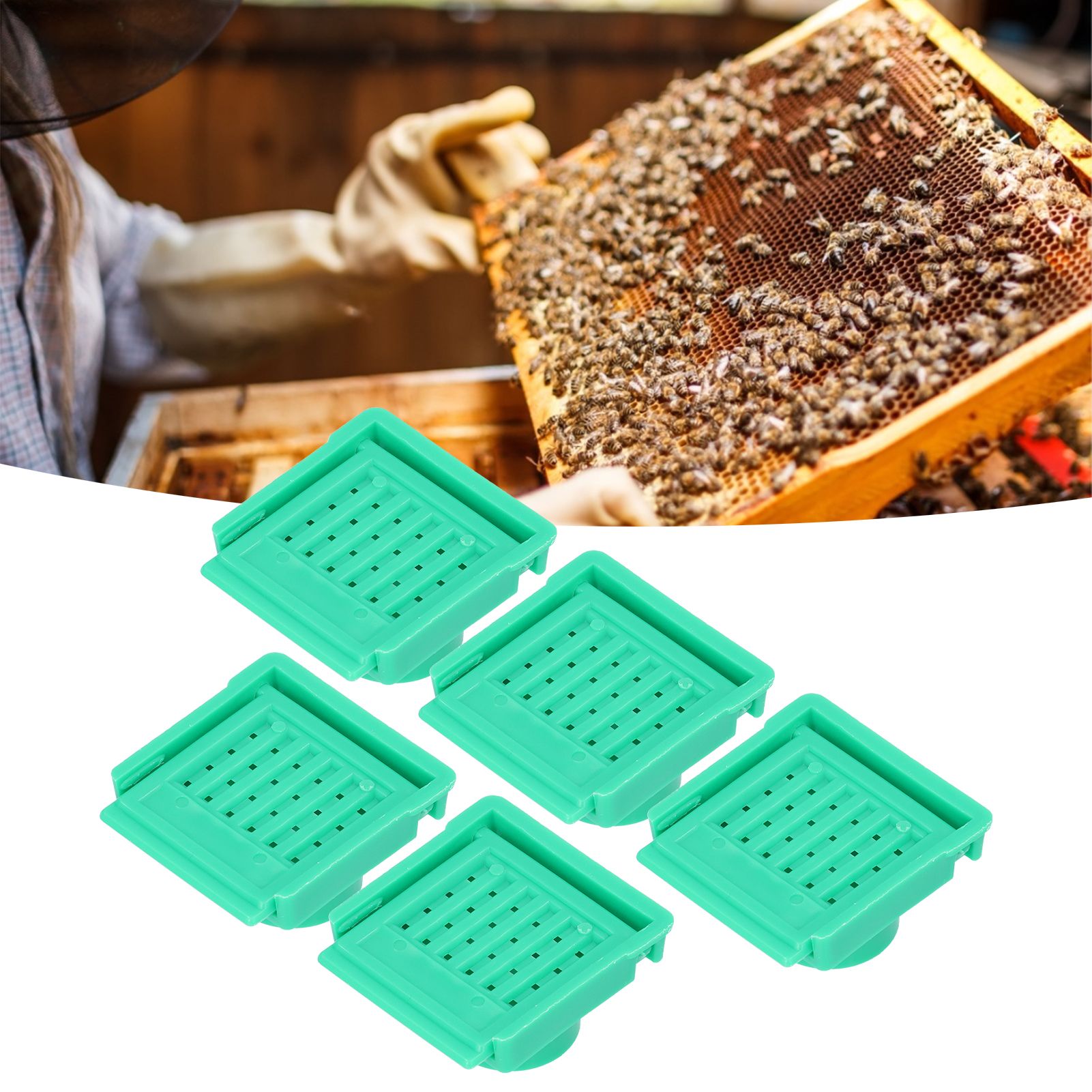 5Pcs Beehive Vent Lightweight ABS NonToxic EscapeProof Breathable Beehive view 12