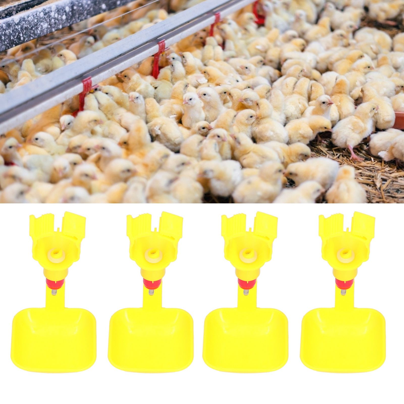 10Pcs Chicken Nipple Drinker with Cup 20ml Integrated Automatic Drinking Bowl view 11