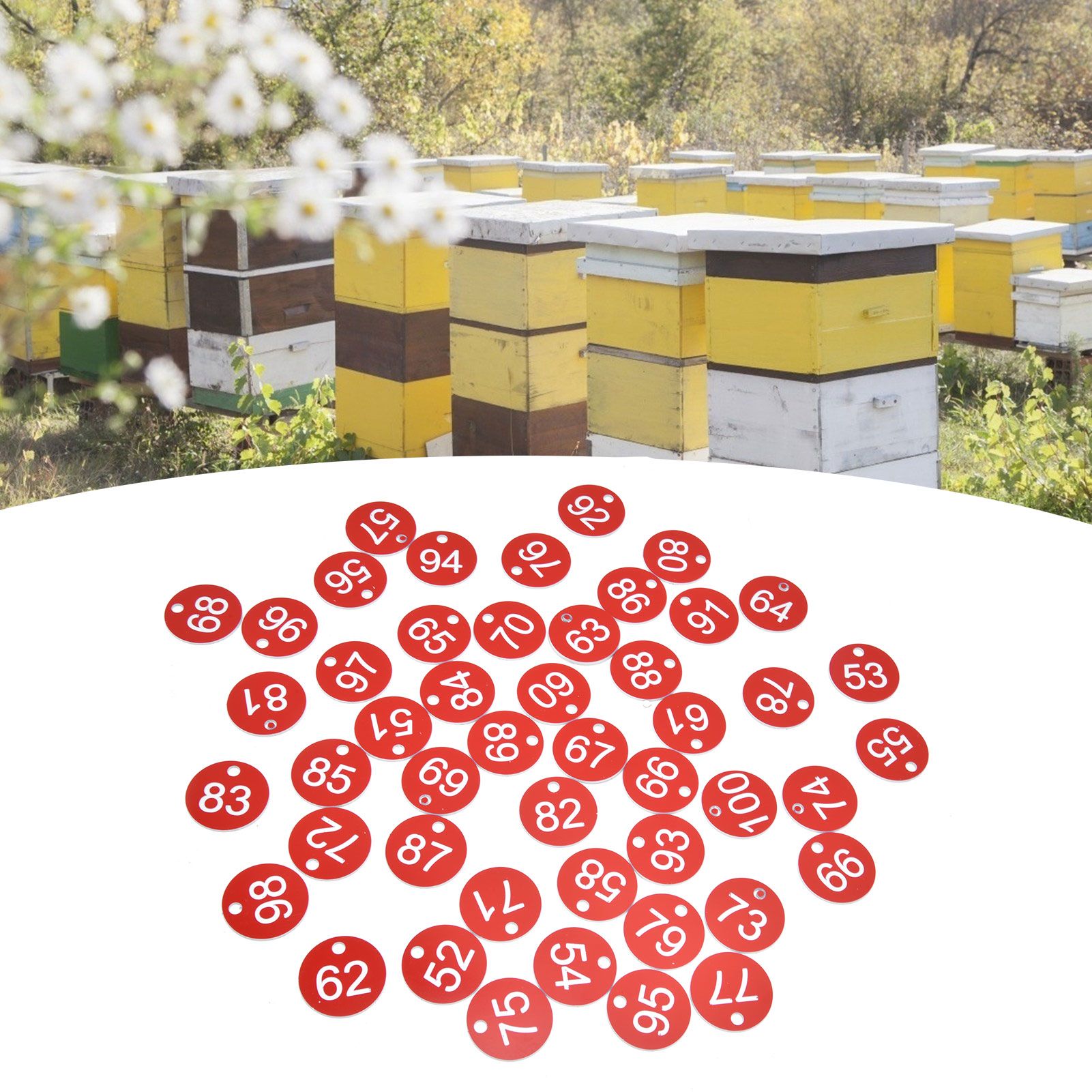 50PCS/Bag Beehive Label Beekeeping Box Numbered Tag with Hole Classification view 11