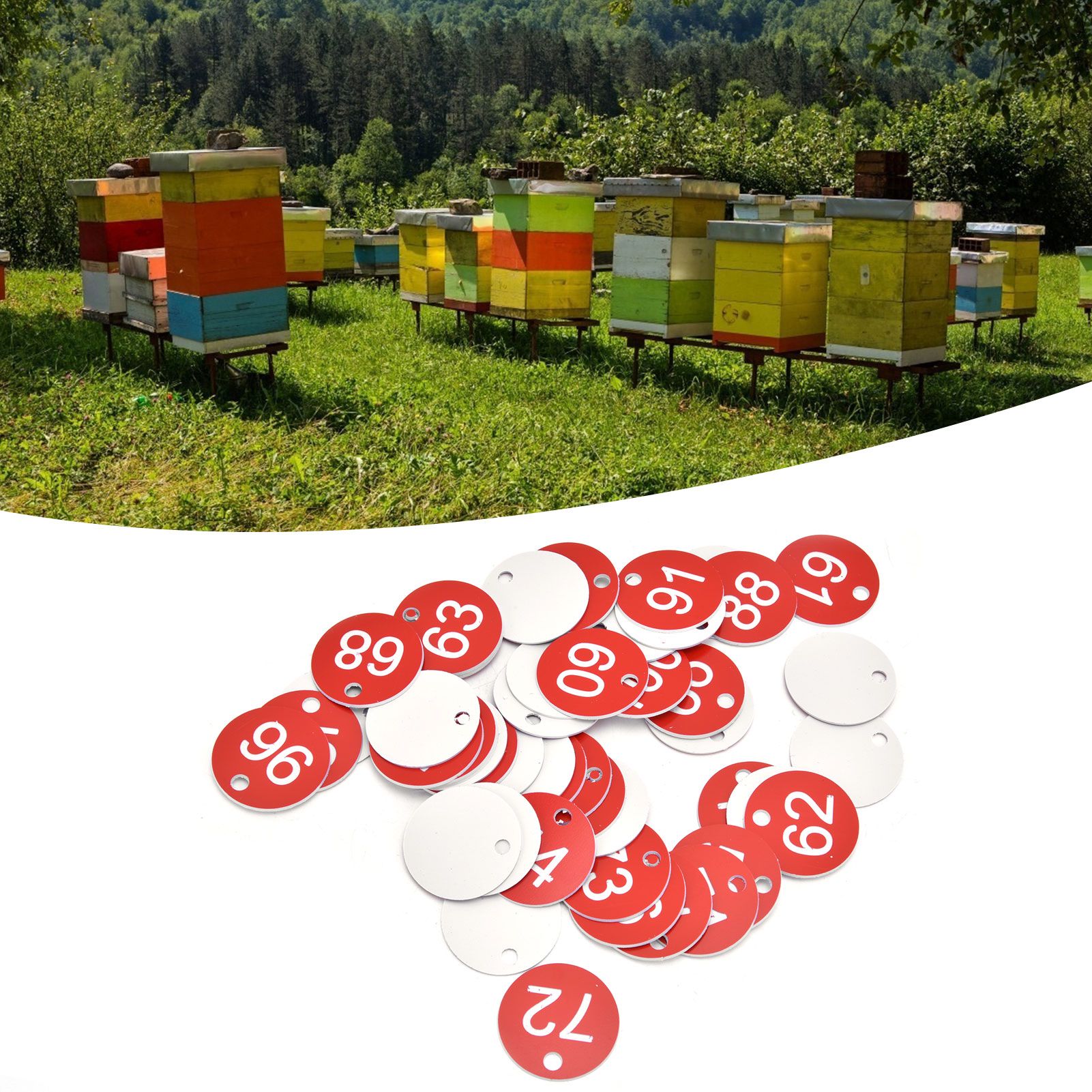 50PCS/Bag Beehive Label Beekeeping Box Numbered Tag with Hole Classification view 12