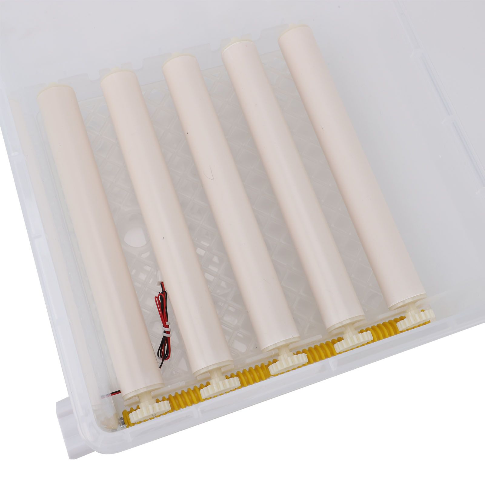 12 Eggs Incubator ABS Foam Poultry Hatching Machine with Automatic Temperature view 2