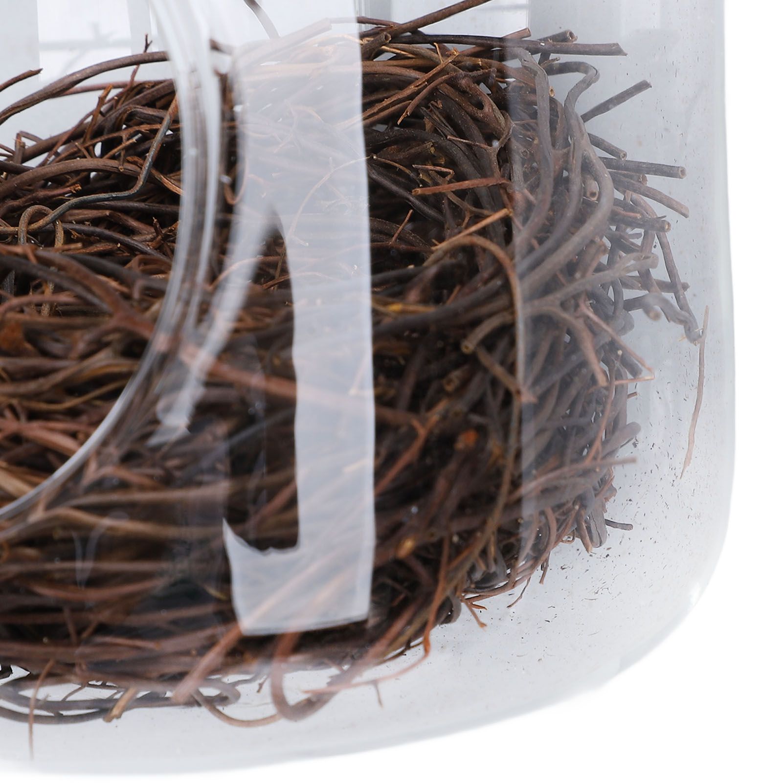 Bird House Rainproof Transparent Bird Nest Hanging Hummingbird House with Hook view 5