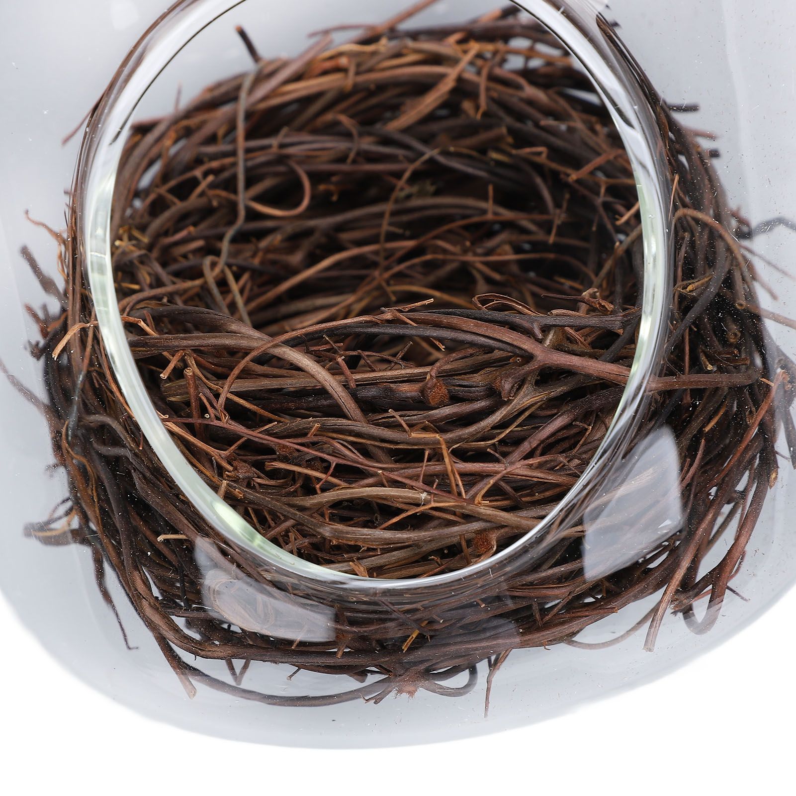 Bird House Rainproof Transparent Bird Nest Hanging Hummingbird House with Hook view 7