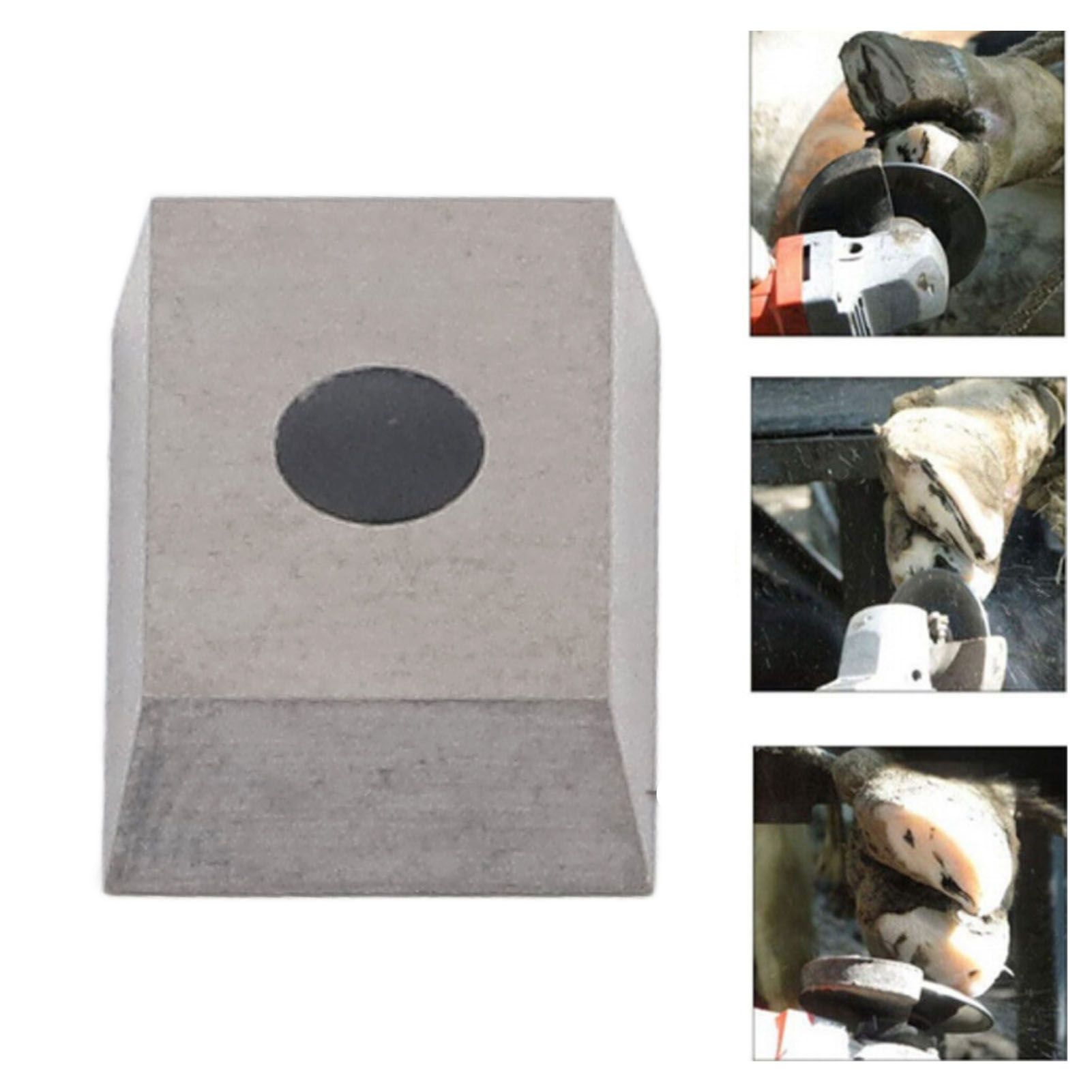 Hoof Trimming Disc Blades Stainless Steel Cattle Hoof Trimming Tools Hoof view 12