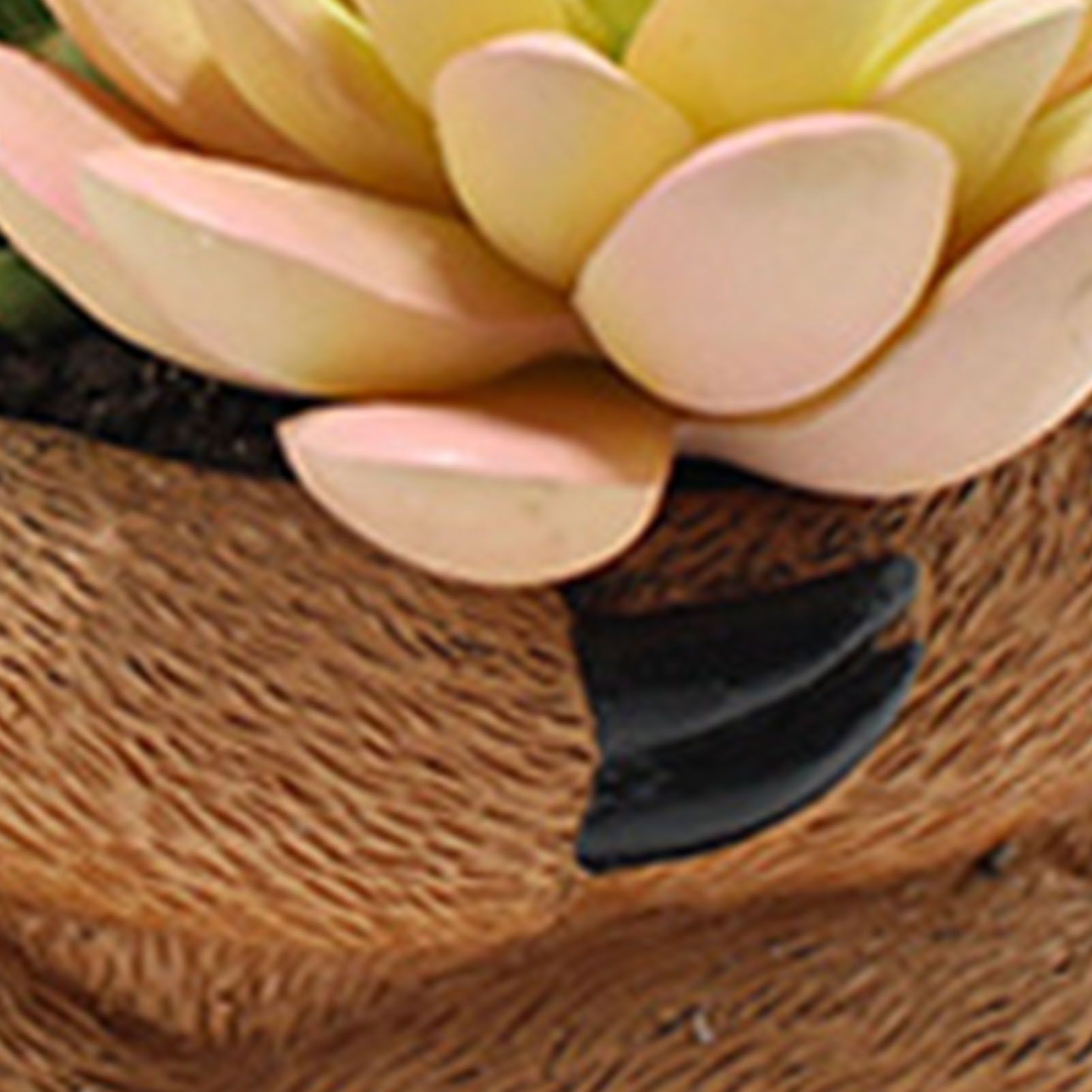 Sloth Flower Pot Ornaments Innovative Resin Succulent Pots Planter Desktop view 5