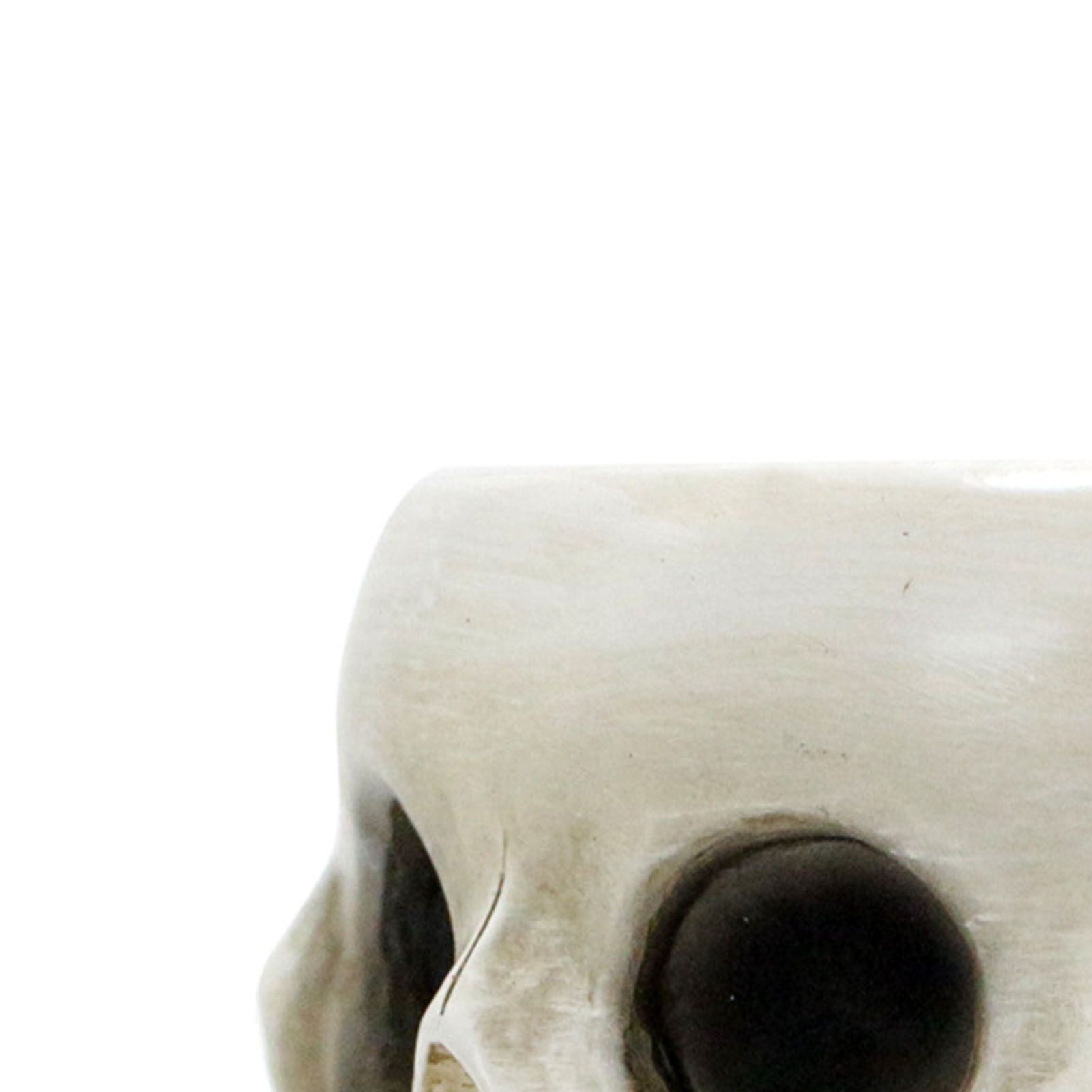 Multifaceted Skull Planter Ornaments Resin Home Garden Horror Skull Decoration view 2