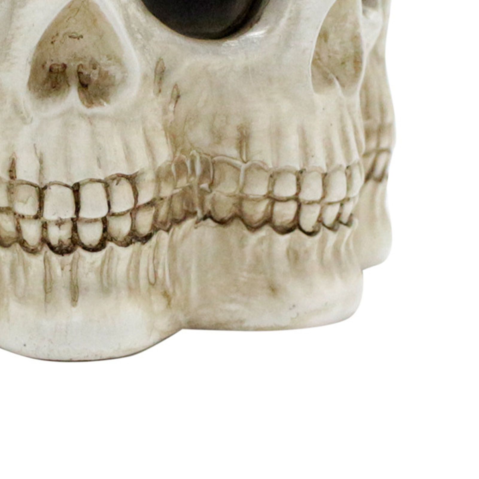Multifaceted Skull Planter Ornaments Resin Home Garden Horror Skull Decoration view 5