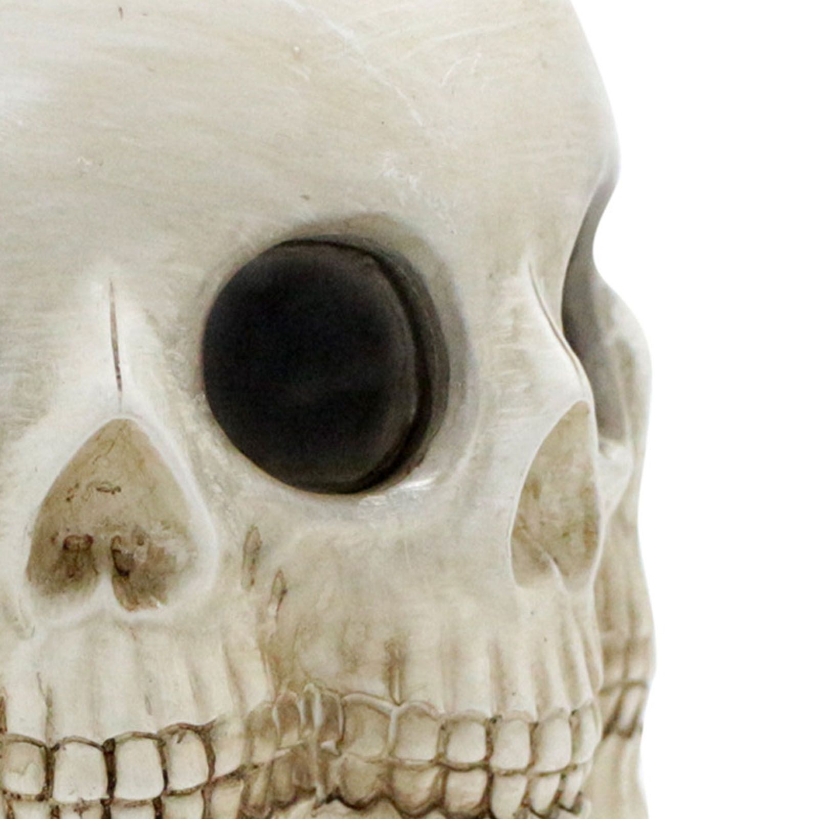 Multifaceted Skull Planter Ornaments Resin Home Garden Horror Skull Decoration view 7