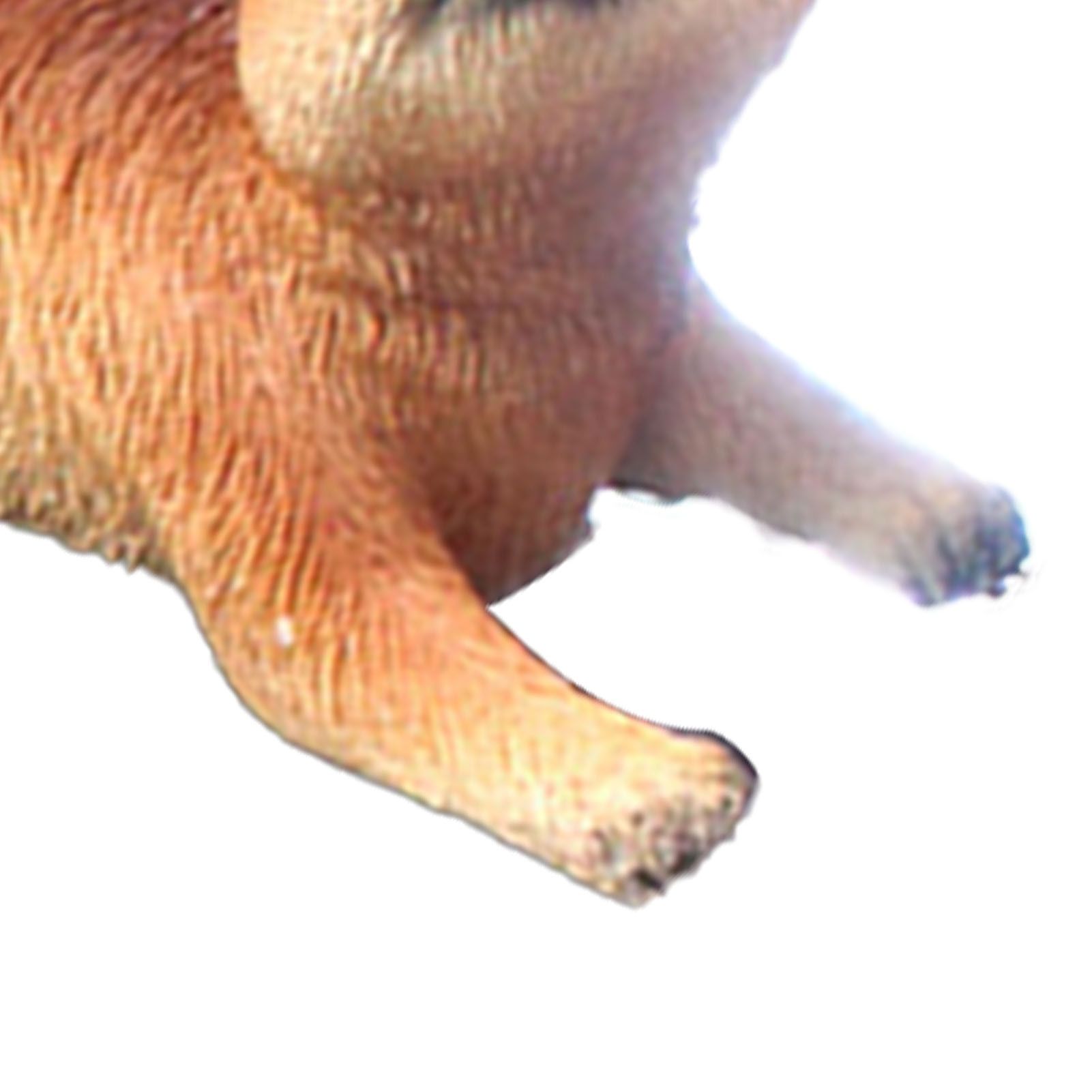 Resin Animal Squirrels Model Cute Squirrel Hanging Statues for Garden Outdoor view 7
