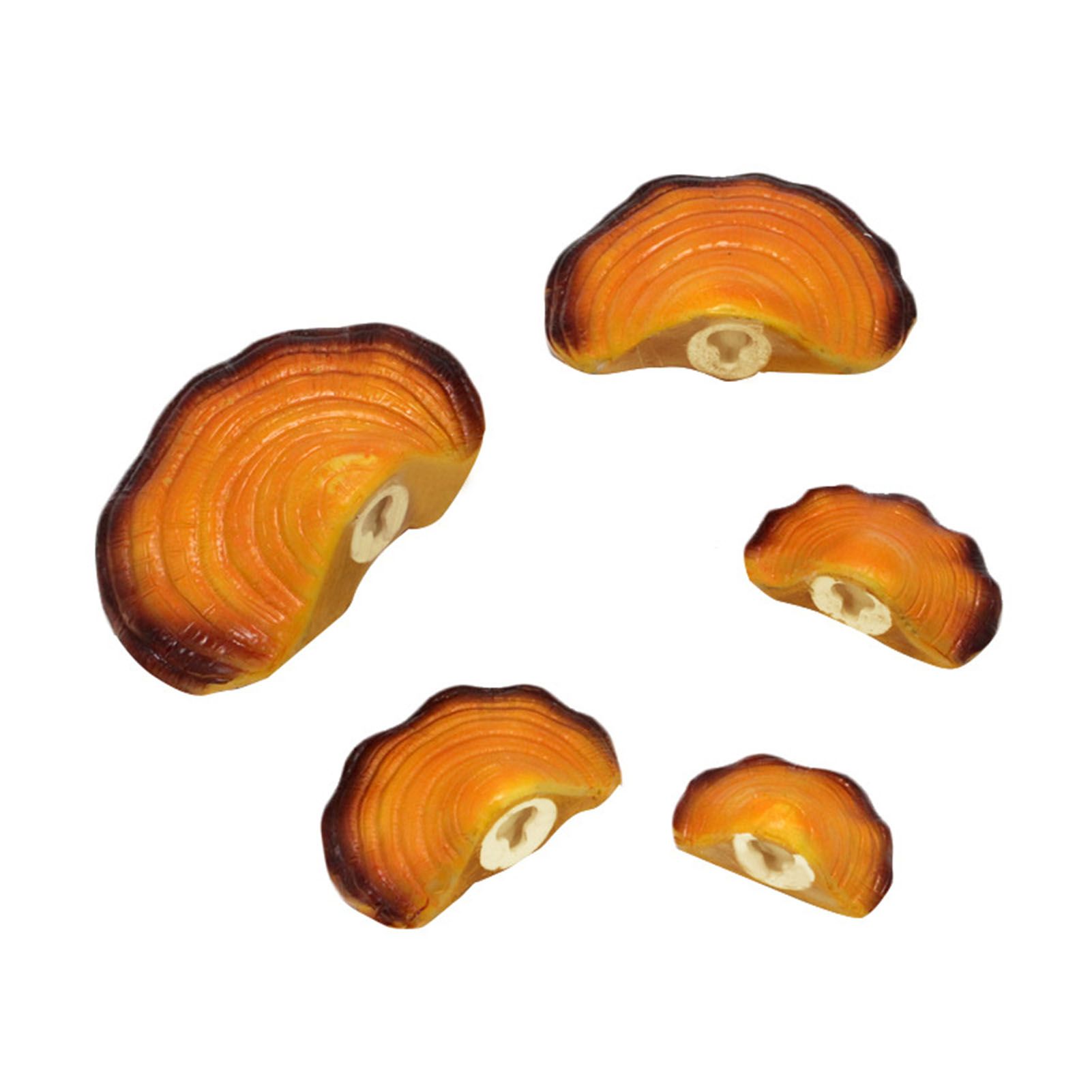 Simulation Mushroom Shelf Decoration Set Resin Artificial Mini Reishi Mushroom — image 1