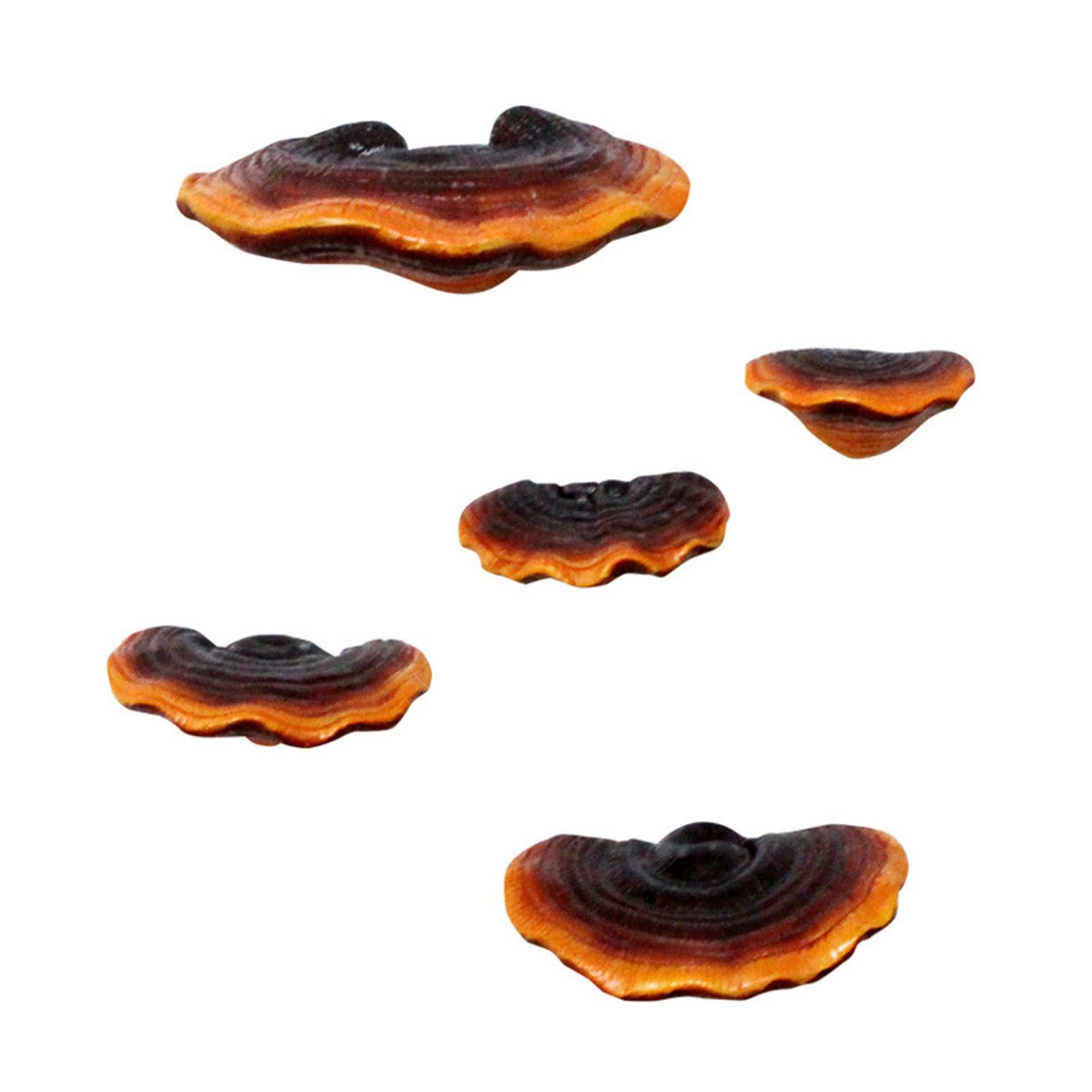 Simulation Mushroom Shelf Decoration Set Resin Artificial Mini Reishi Mushroom view 4