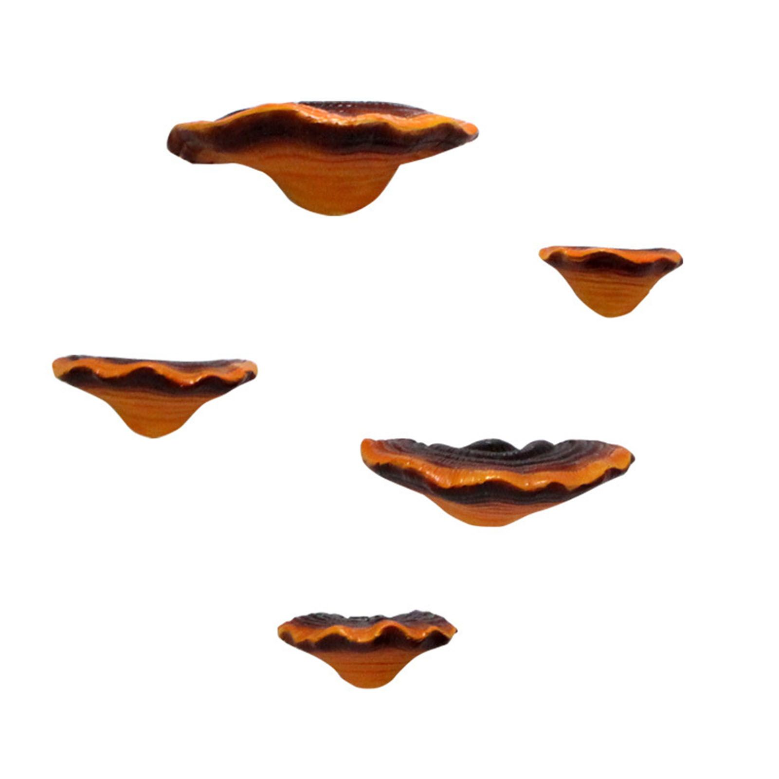 Simulation Mushroom Shelf Decoration Set Resin Artificial Mini Reishi Mushroom view 6