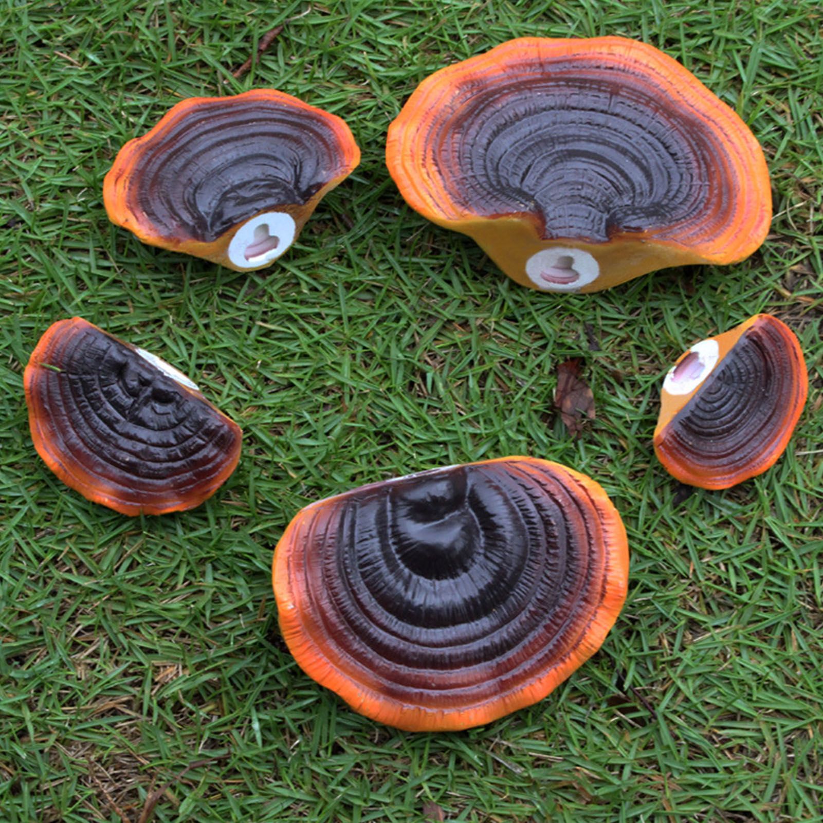 Simulation Mushroom Shelf Decoration Set Resin Artificial Mini Reishi Mushroom view 8
