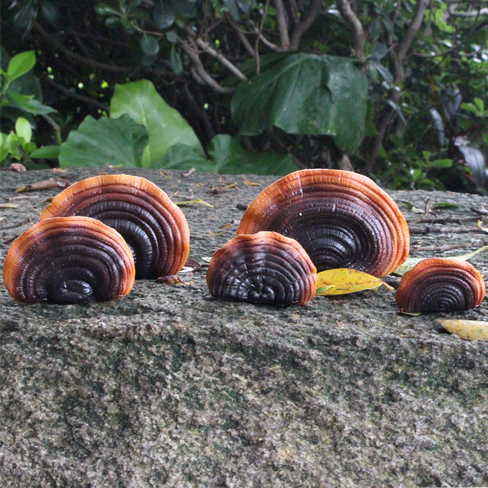 Simulation Mushroom Shelf Decoration Set Resin Artificial Mini Reishi Mushroom view 9