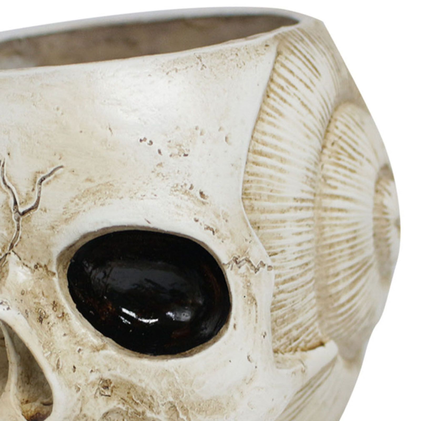 Resin Skull Shaped Flower Pot Gothic Succulent Planter Holder Ornament for view 2