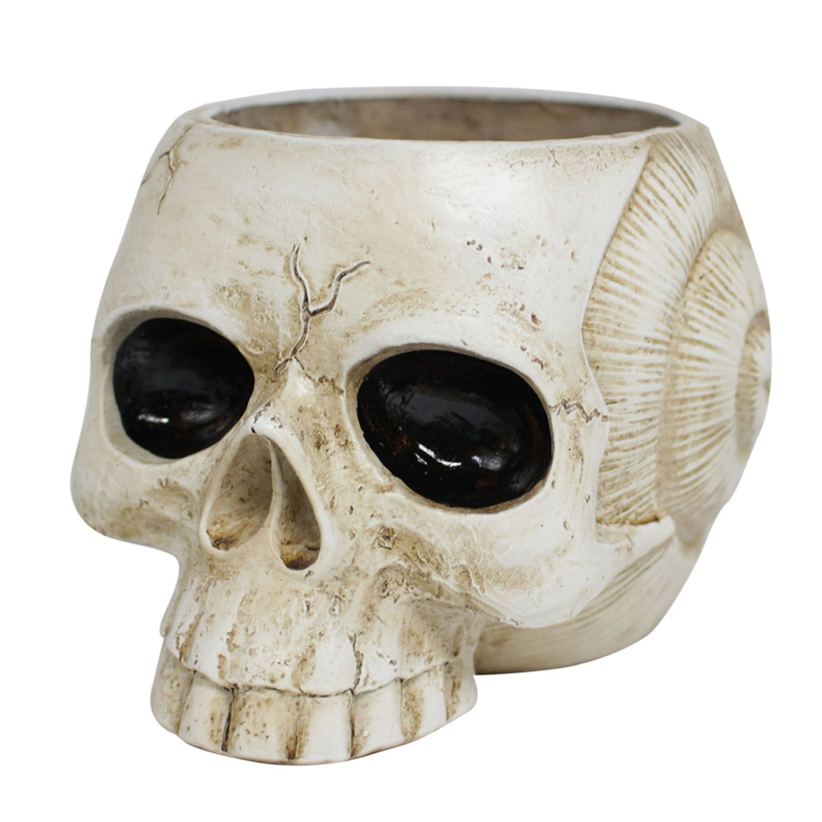 Resin Skull Shaped Flower Pot Gothic Succulent Planter Holder Ornament for view 3