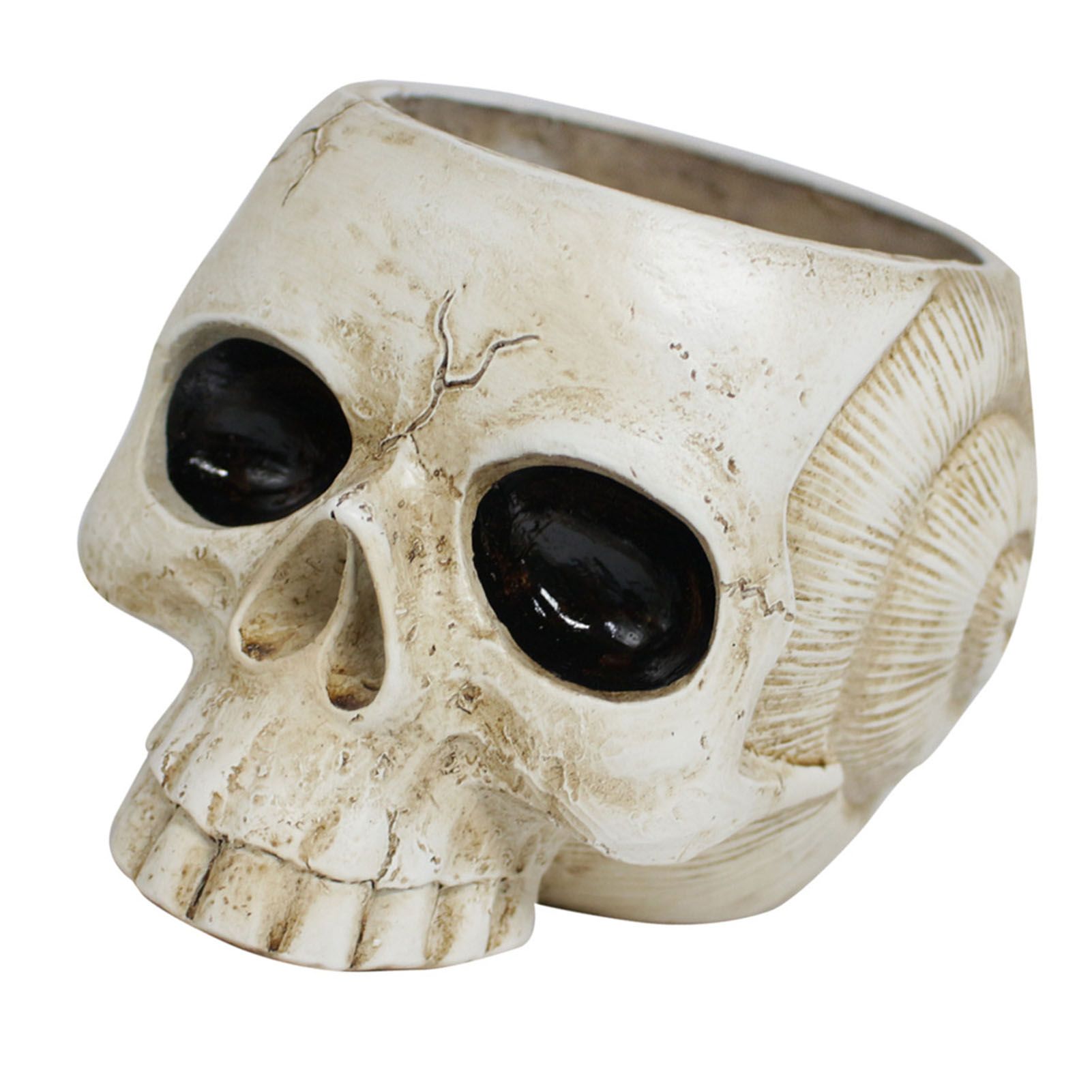 Resin Skull Shaped Flower Pot Gothic Succulent Planter Holder Ornament for view 4