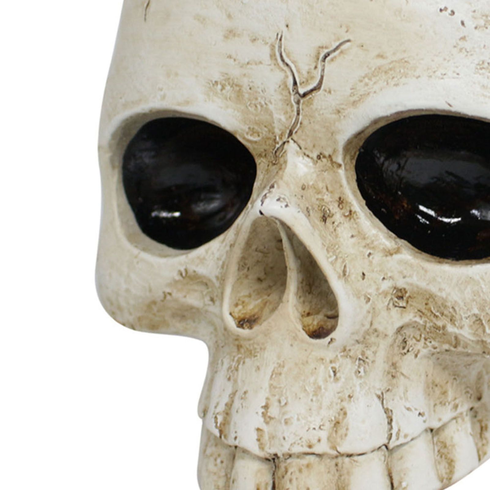 Resin Skull Shaped Flower Pot Gothic Succulent Planter Holder Ornament for view 5