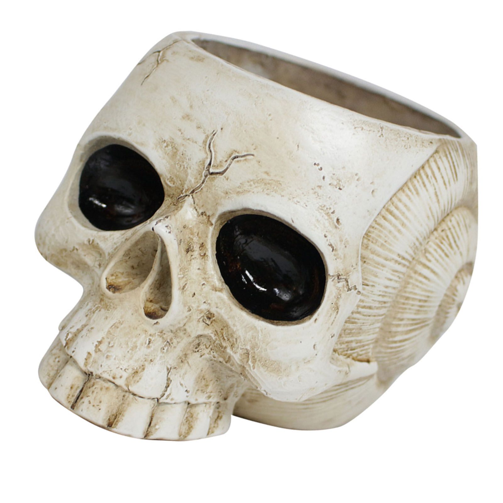 Resin Skull Shaped Flower Pot Gothic Succulent Planter Holder Ornament for view 6