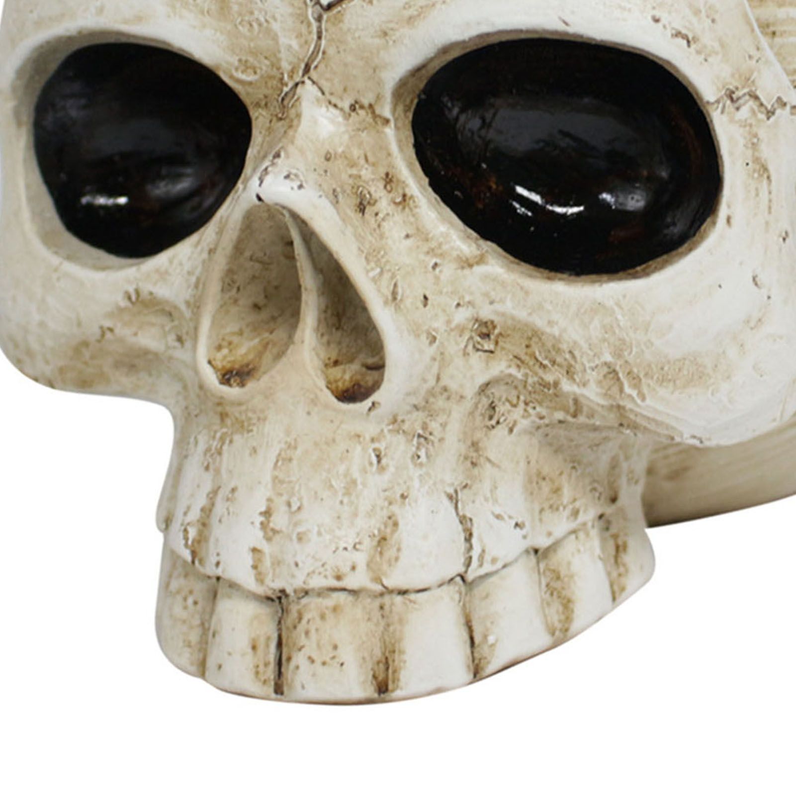 Resin Skull Shaped Flower Pot Gothic Succulent Planter Holder Ornament for view 7