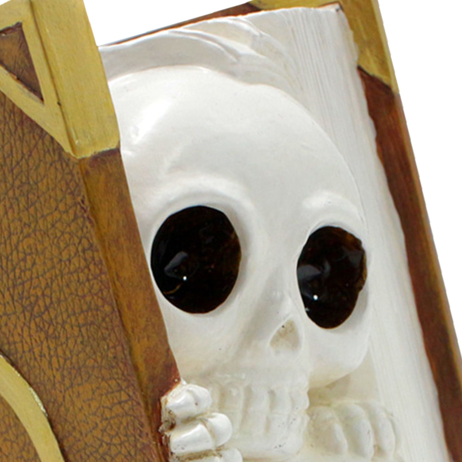 Book Skull Plant Pot Decorative Easy Cleanup Exquisite Flower Container Pot view 2