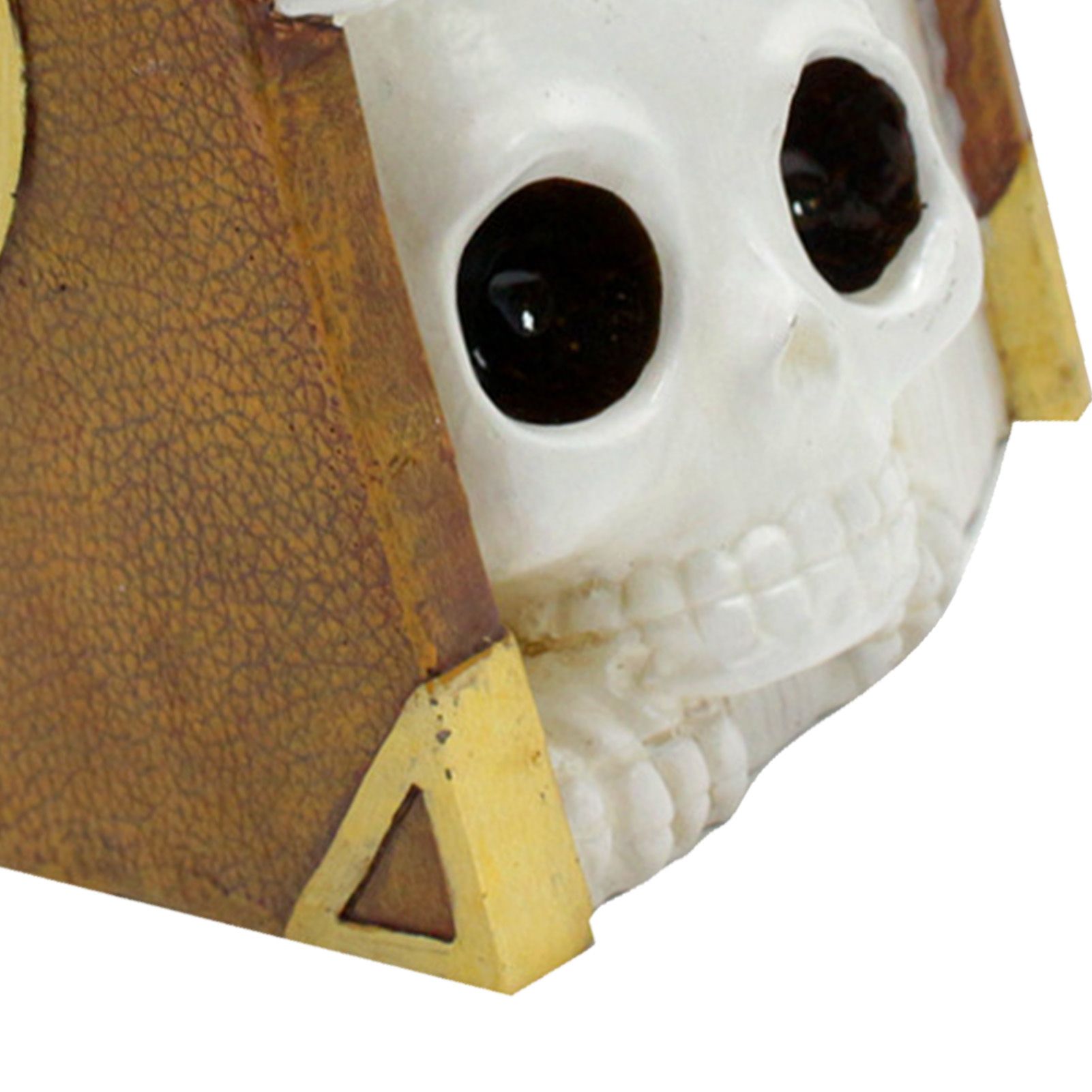 Book Skull Plant Pot Decorative Easy Cleanup Exquisite Flower Container Pot view 7