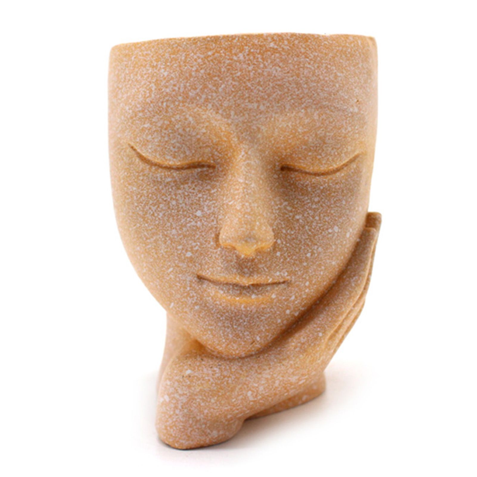 Face Flower Pot Ornament Innovative Resin Succulent Potted Desktop Plants view 3
