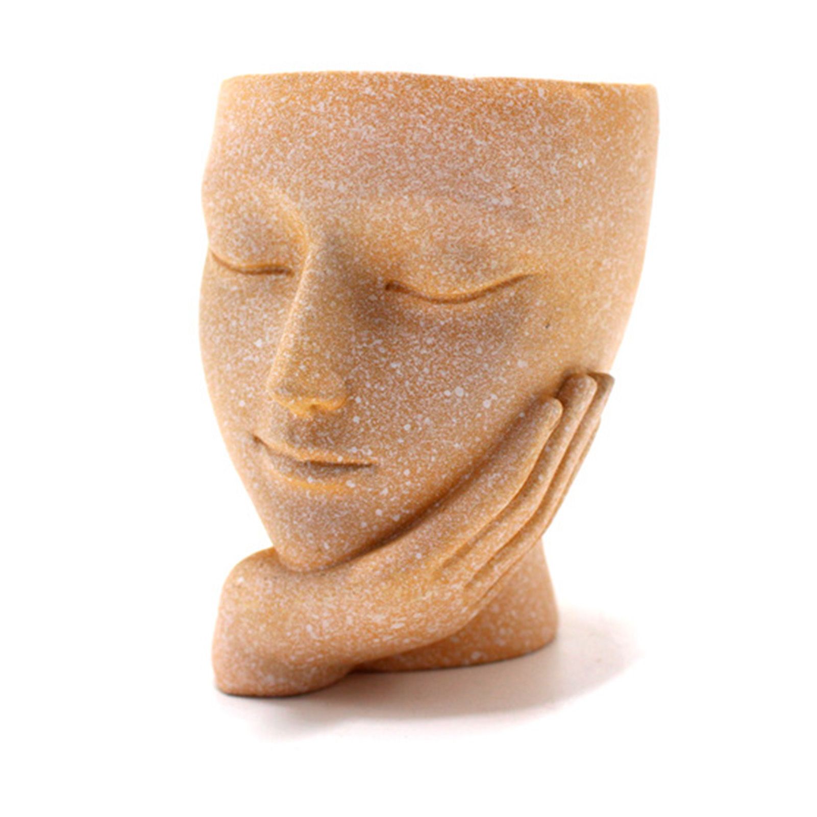 Face Flower Pot Ornament Innovative Resin Succulent Potted Desktop Plants view 7