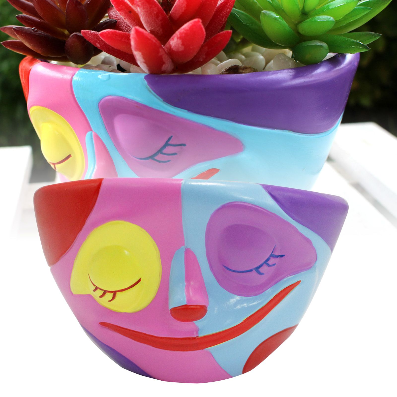 Face Succulent Planter Colorful Delicate Look Resin Flower Pot Home Decoration view 8