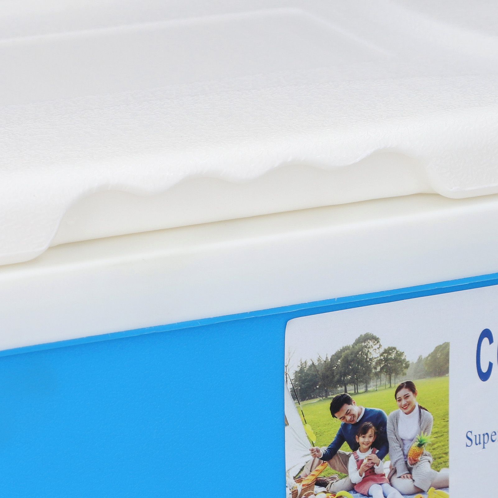 Cooler Box 10L EPS Highly Efficient with Handle Insulated Cooler for Camping view 2