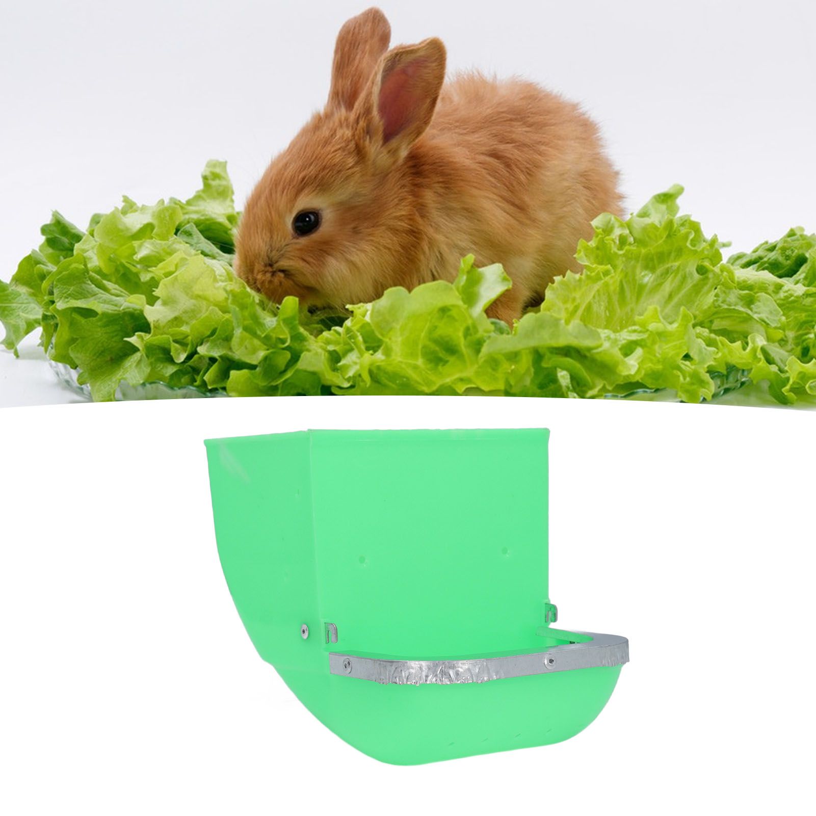 5PCS Small Animal Feeder Plastic Iron Spill Proof Large Capacity Rabbit Food view 12
