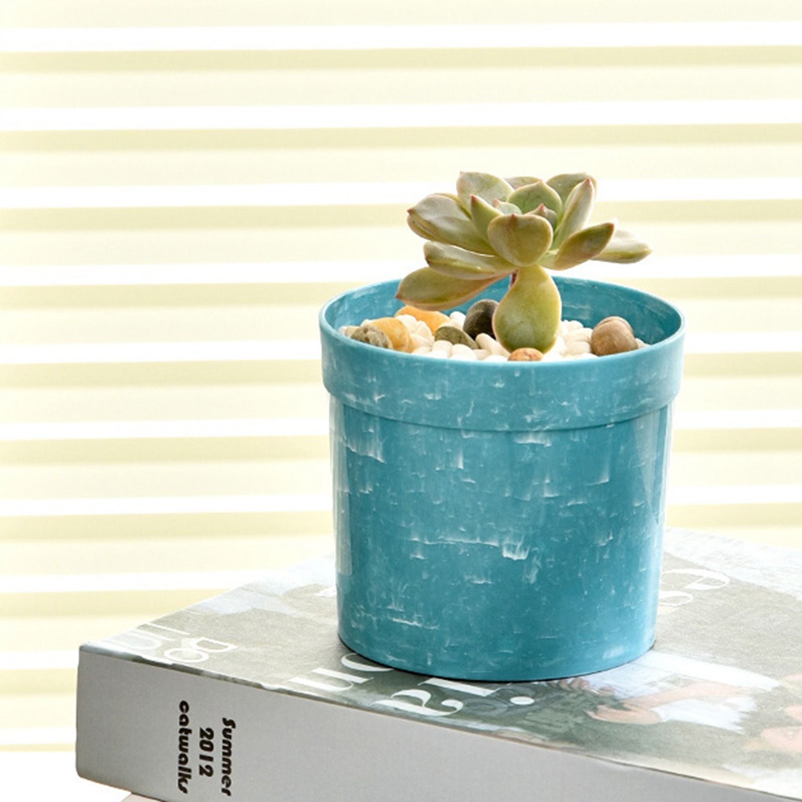 10Pcs Planting Pots Plastic Succulent Flower Pots Gardening Aloe Succulent view 7