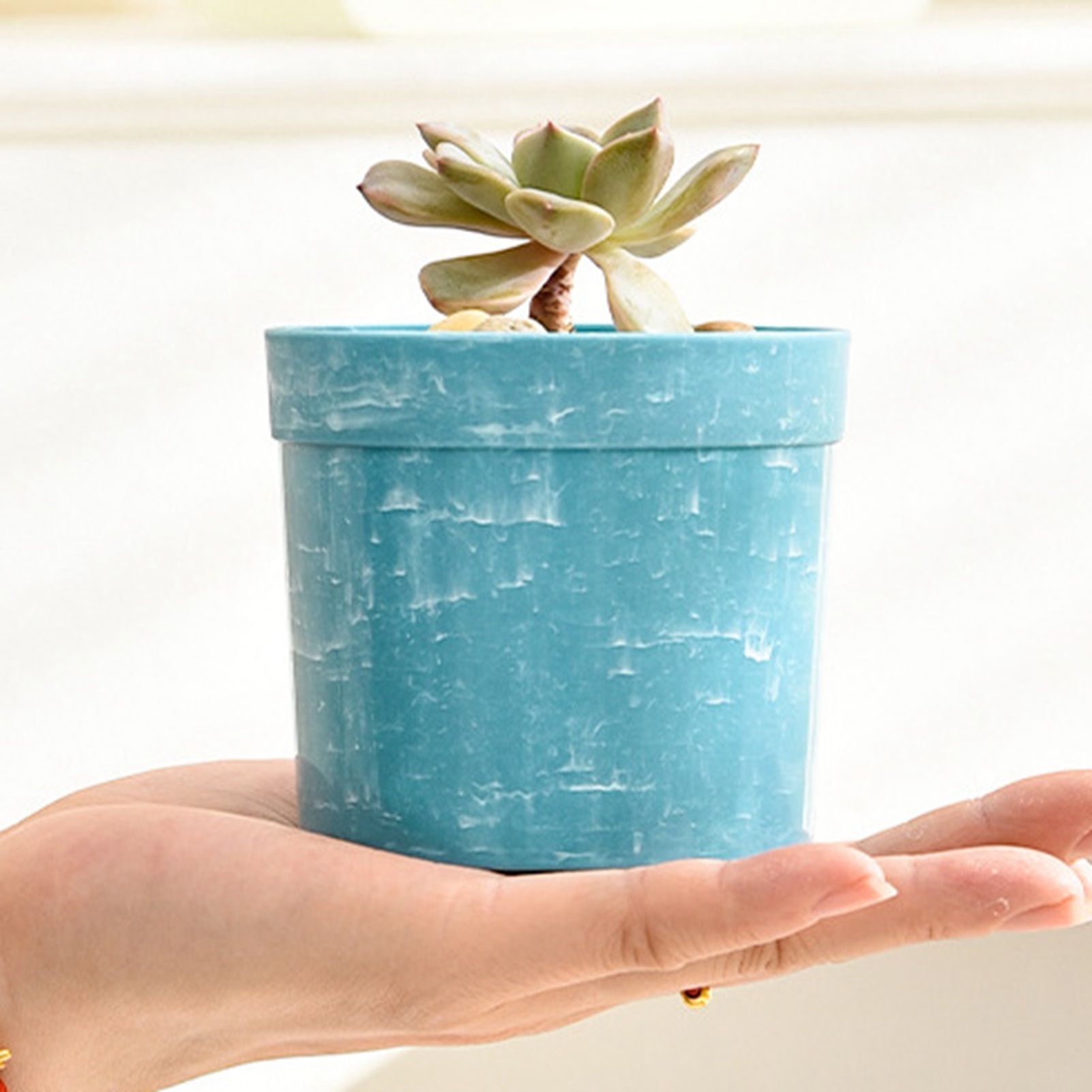 10Pcs Planting Pots Plastic Succulent Flower Pots Gardening Aloe Succulent view 8