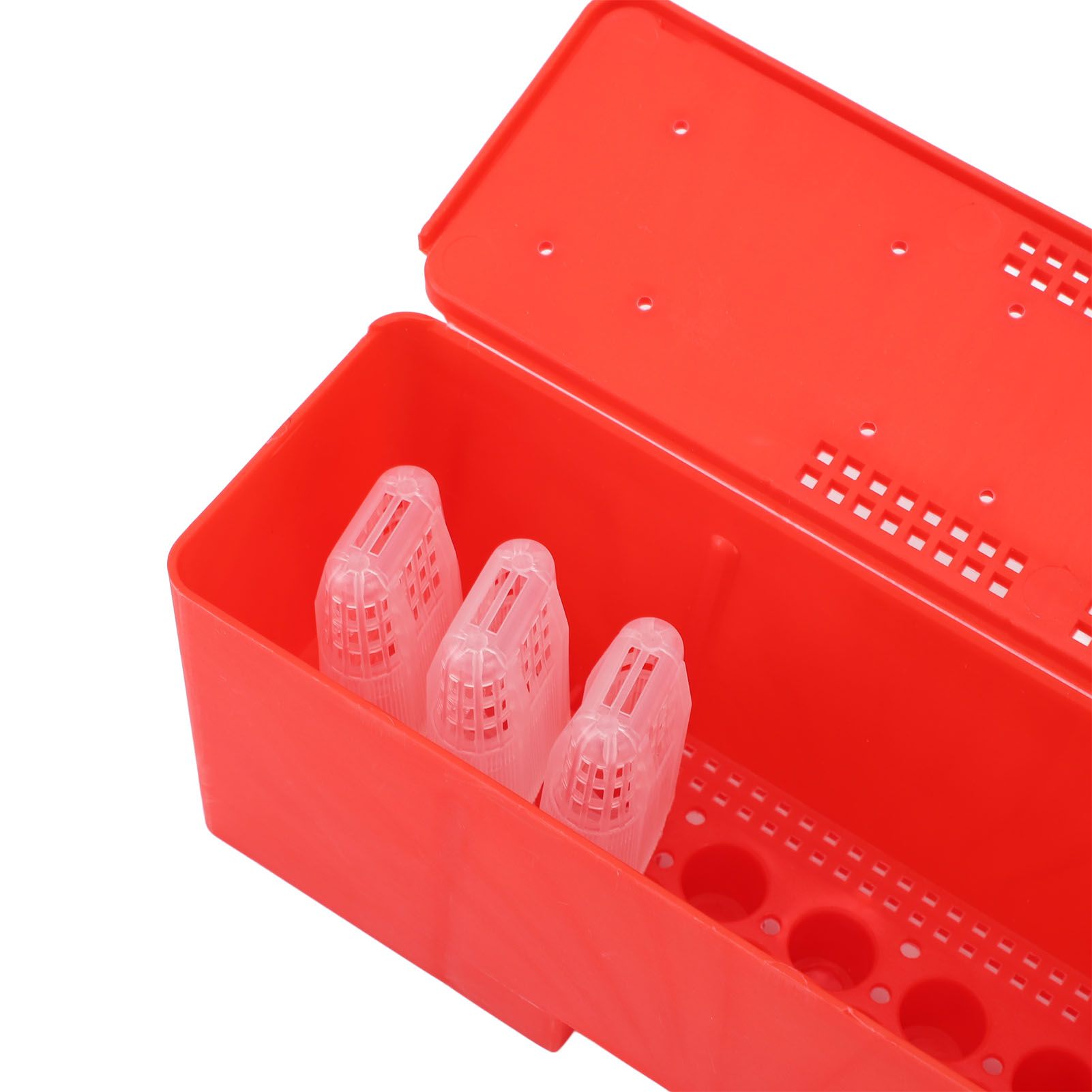 21 Pcs Set Queen Bee Cage Prevent Injury Safe Transport Beekeeping Queen Bee view 7