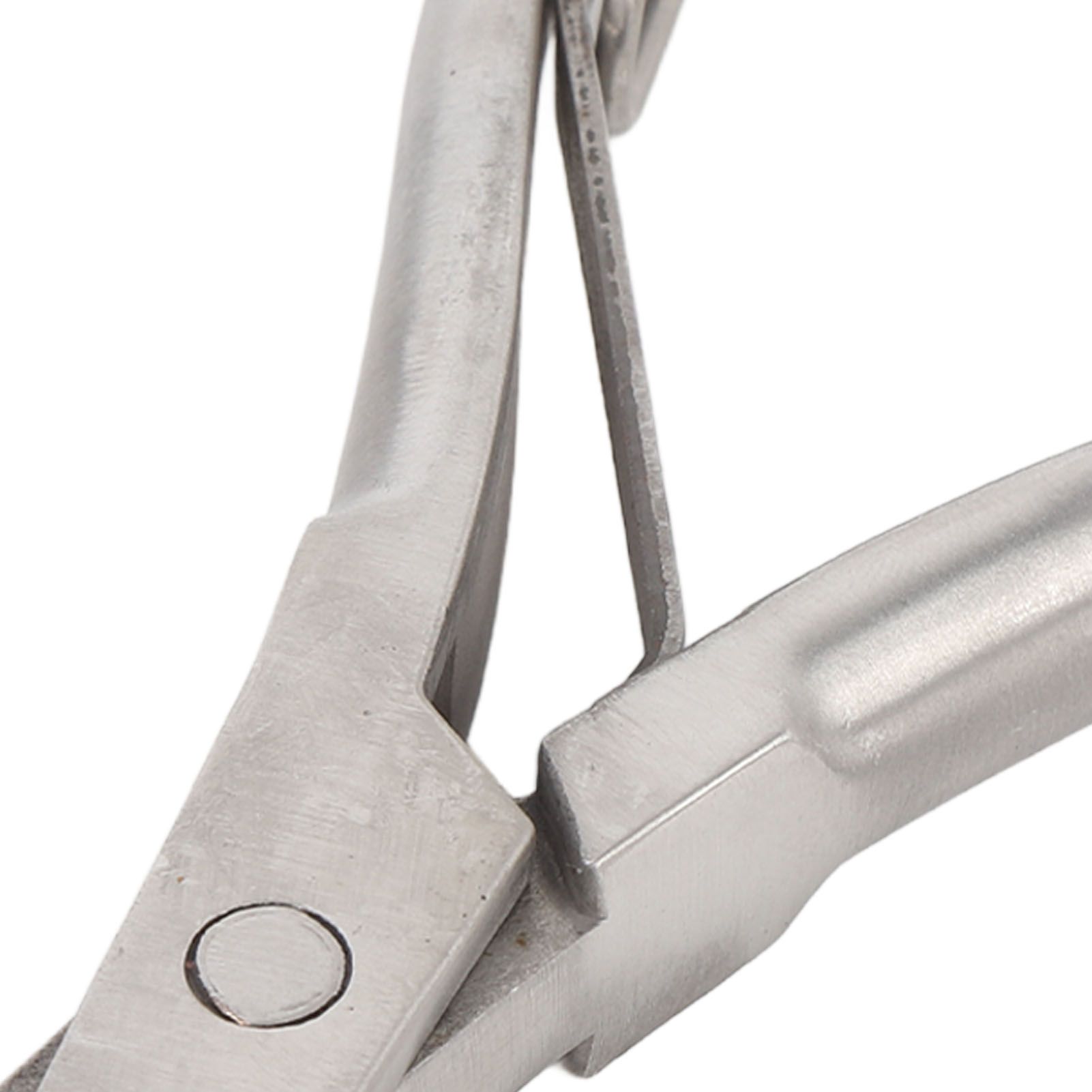 Animal Ear Tag Pliers Stainless Steel U Shape Notcher Livestock Farm Equipment view 5