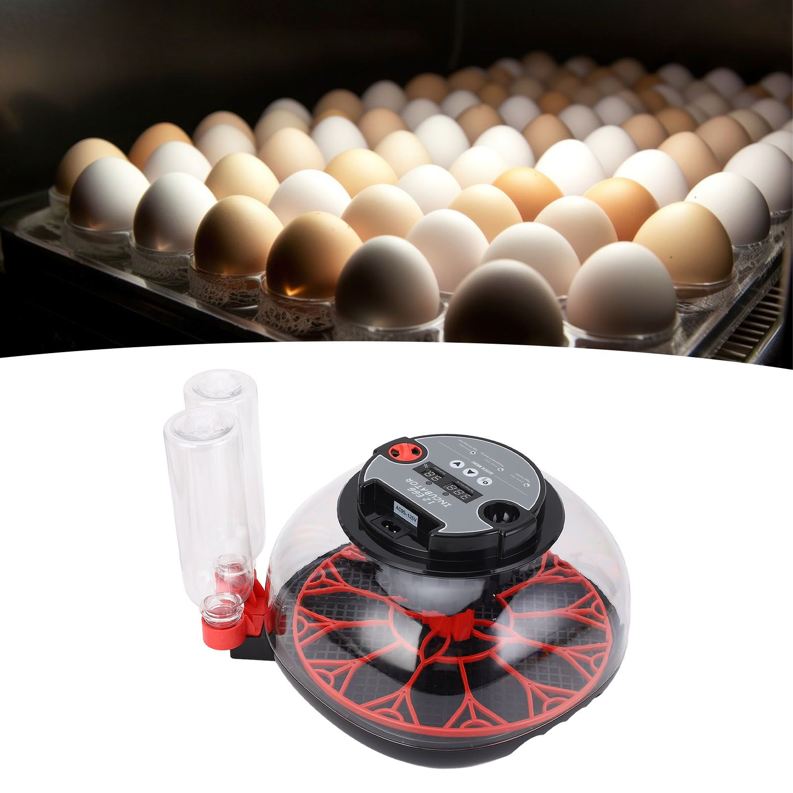 12 Eggs Incubator ABS PET Poultry Hatching Machine with Automatic Egg Turning view 12