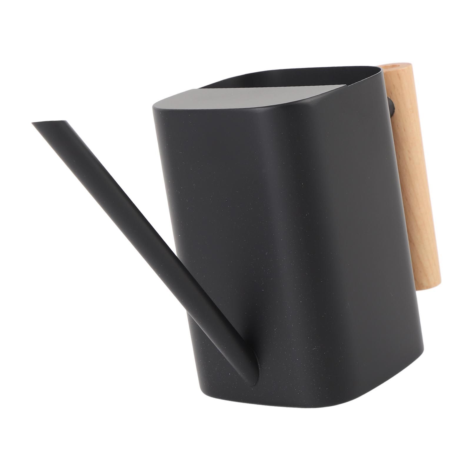 Stainless Steel Watering Can with Long Spout Wooden Handle for Indoor House view 10