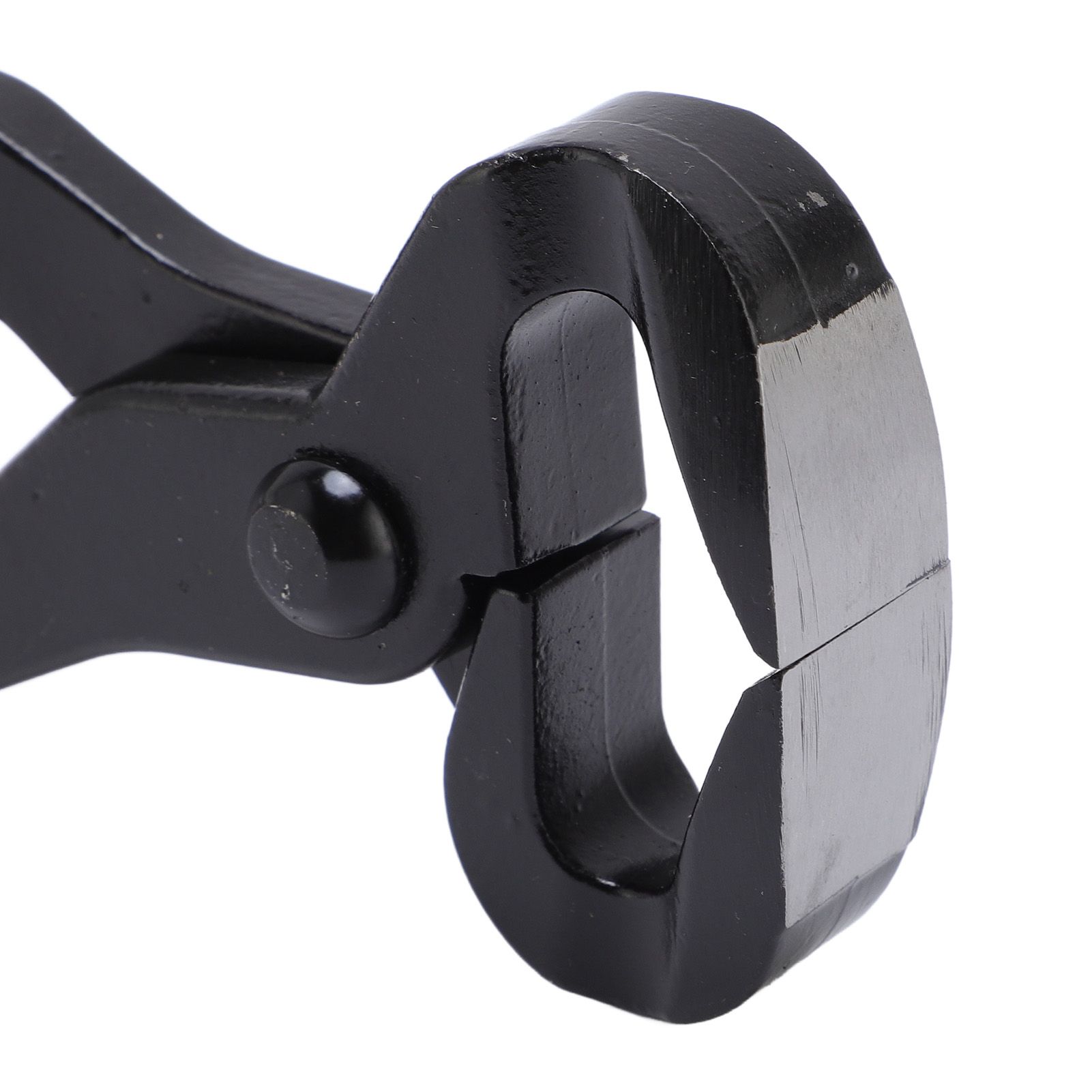 Hoof Nipper Ergonomic Handle Comfortable Grip Multipurpose Horse Hoof Plier view 2
