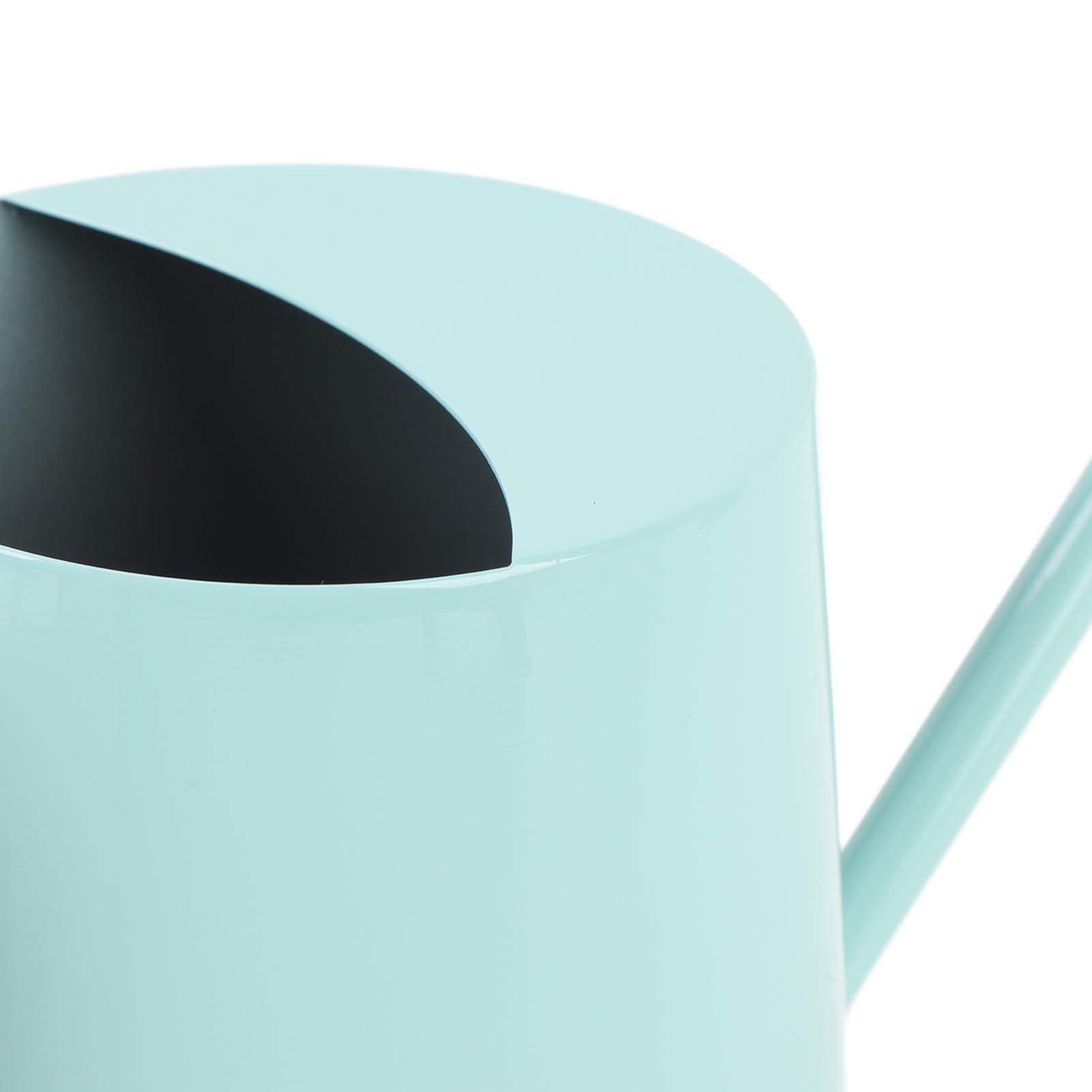 Watering Can Stainless Steel Watering Pot with Wooden Handle for Succulents view 2