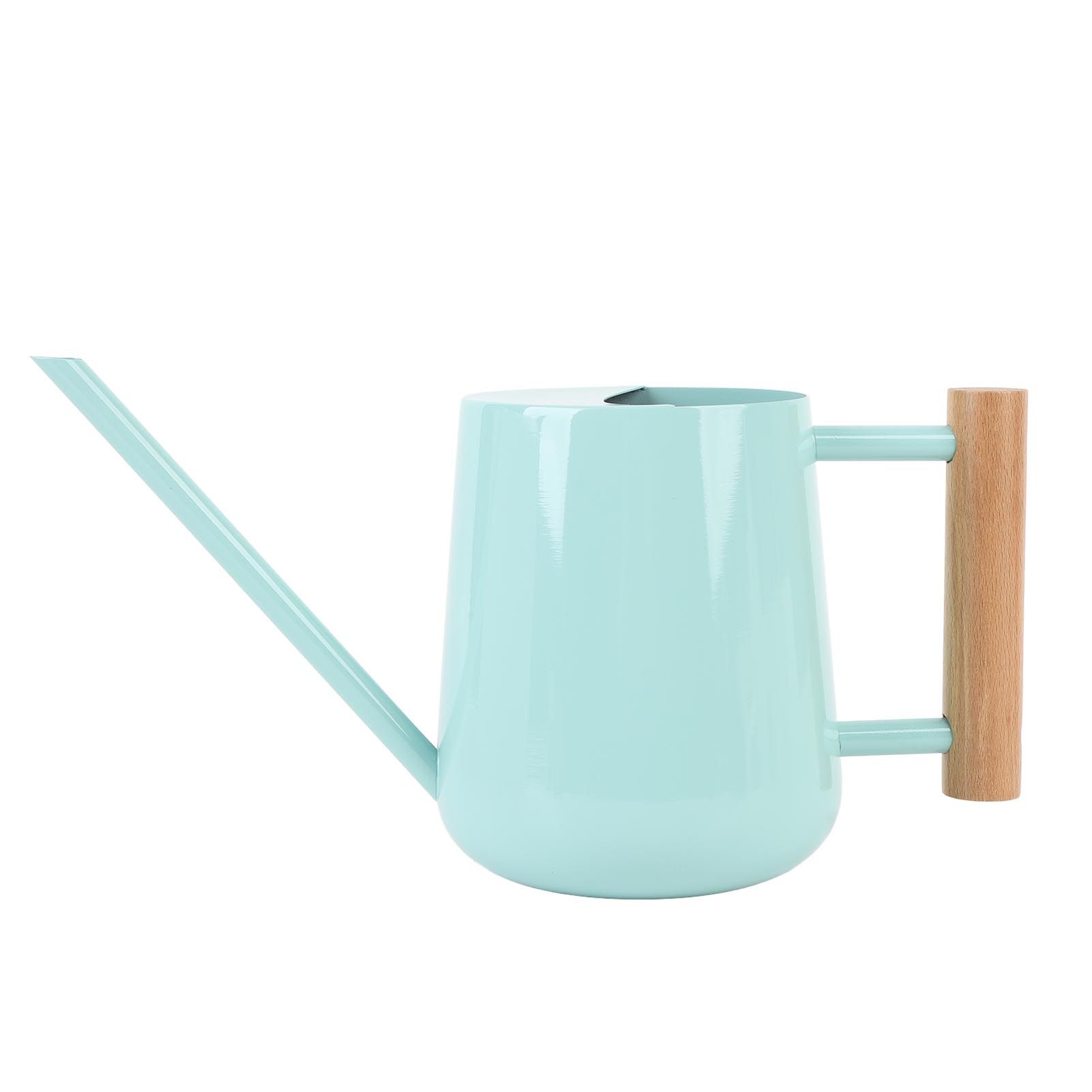 Watering Can Stainless Steel Watering Pot with Wooden Handle for Succulents view 3