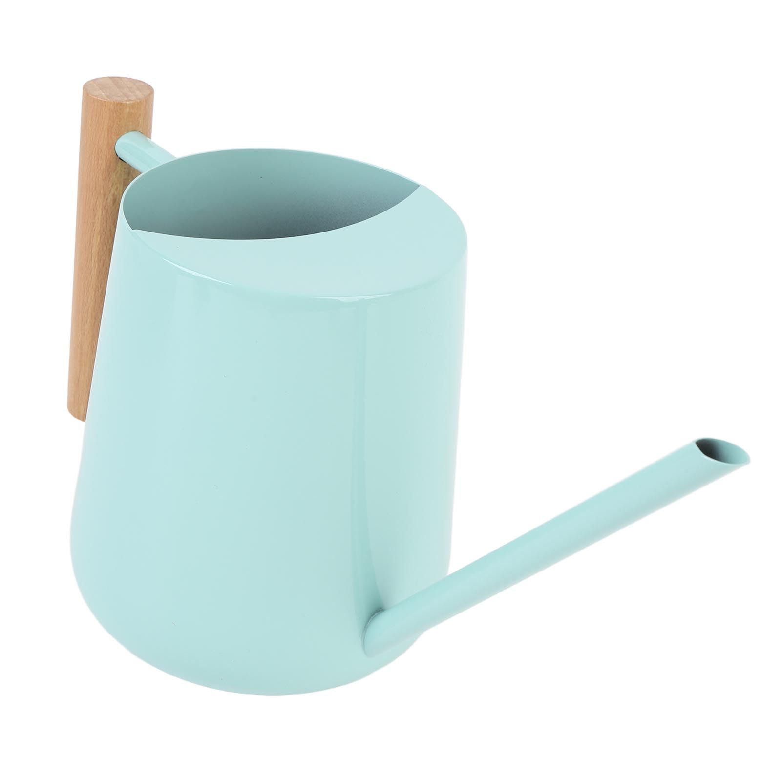 Watering Can Stainless Steel Watering Pot with Wooden Handle for Succulents view 6