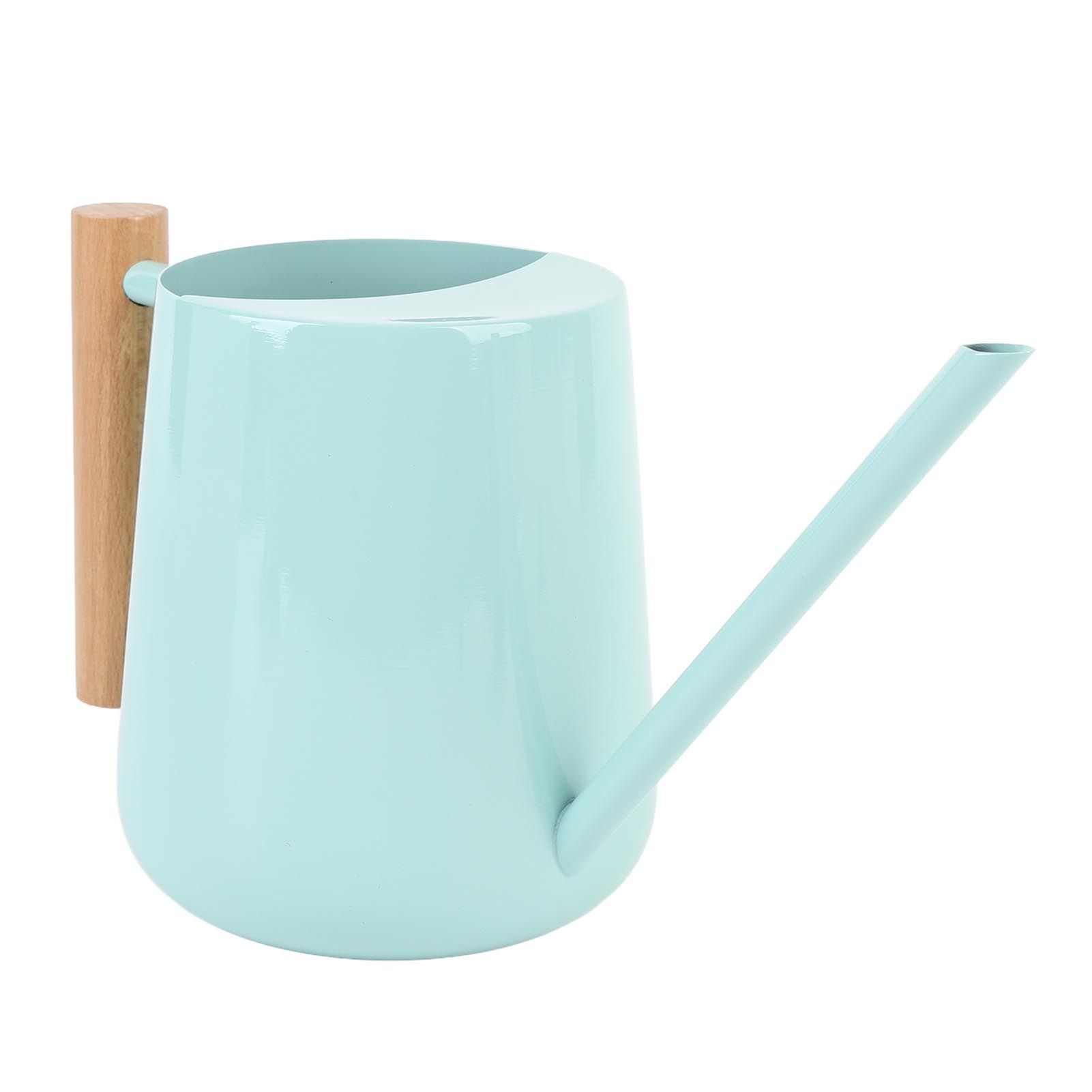 Watering Can Stainless Steel Watering Pot with Wooden Handle for Succulents view 8