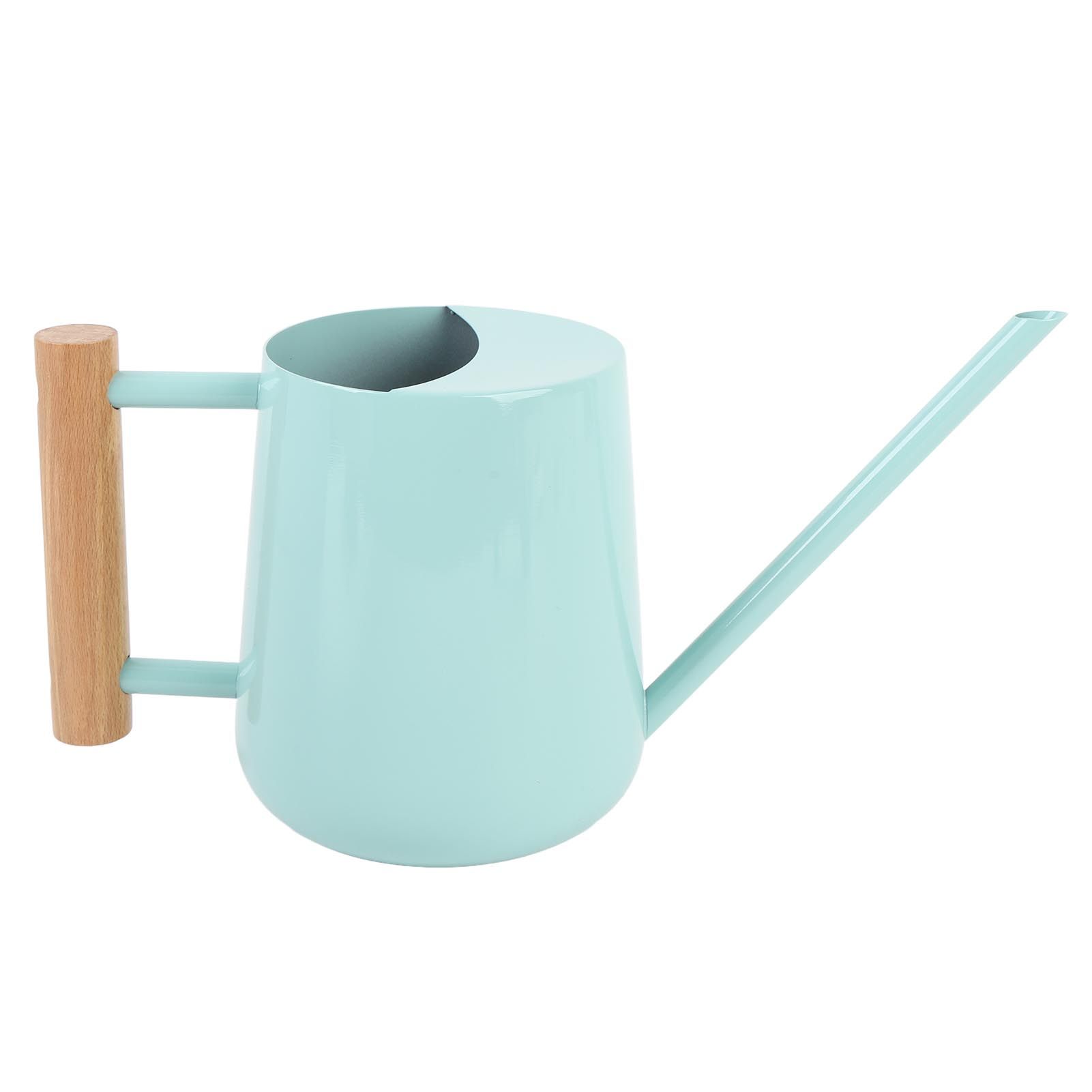 Watering Can Stainless Steel Watering Pot with Wooden Handle for Succulents view 9