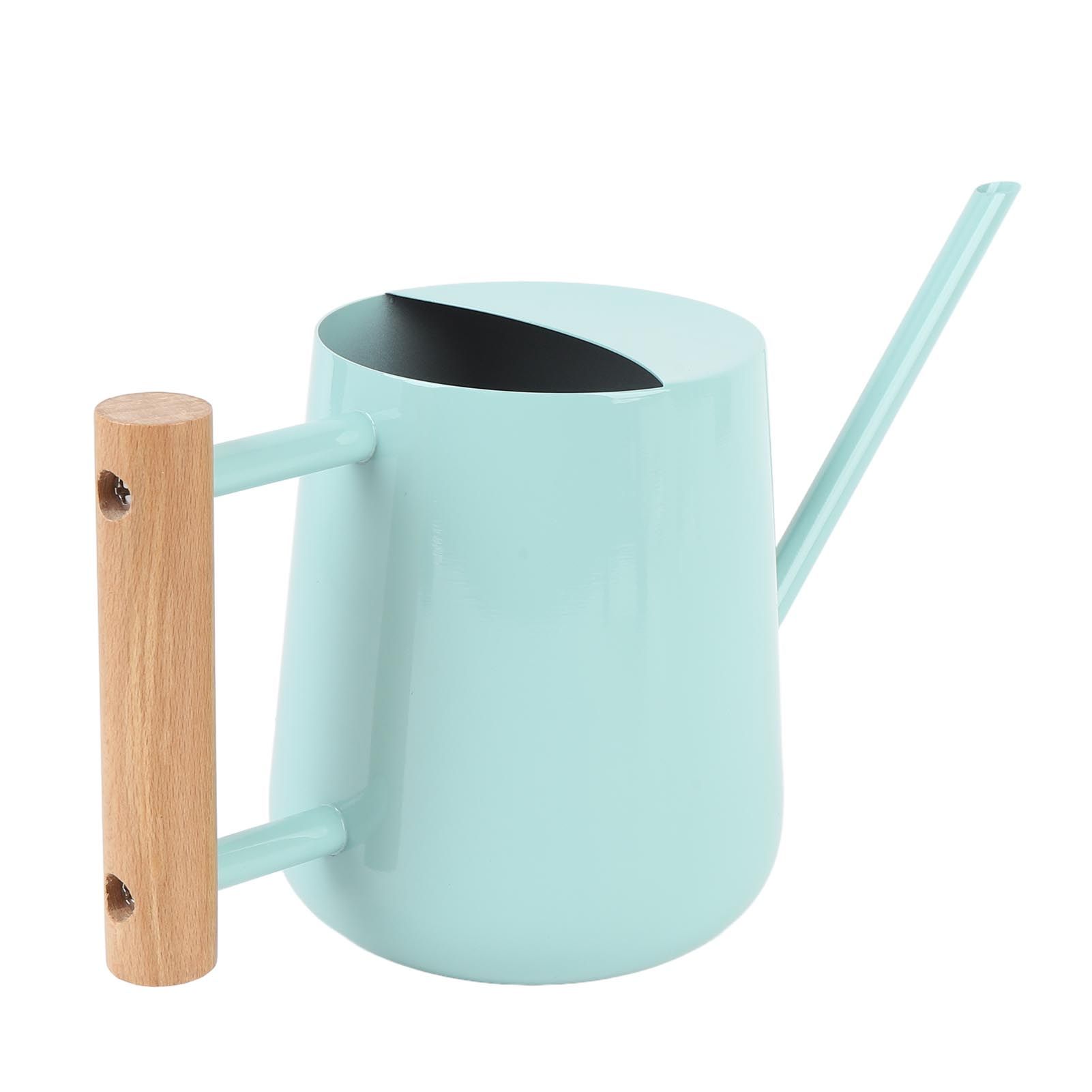 Watering Can Stainless Steel Watering Pot with Wooden Handle for Succulents view 10