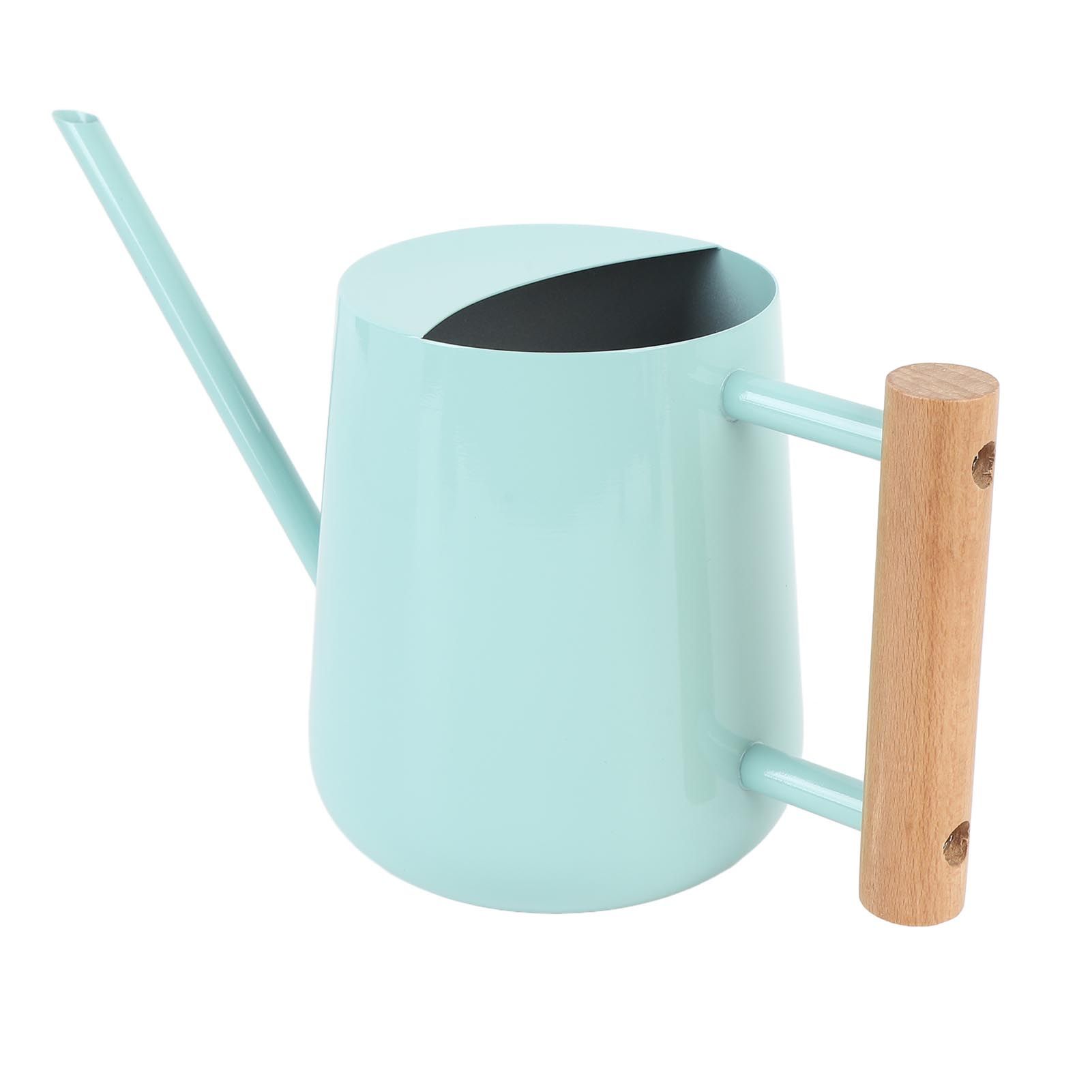 Watering Can Stainless Steel Watering Pot with Wooden Handle for Succulents view 11