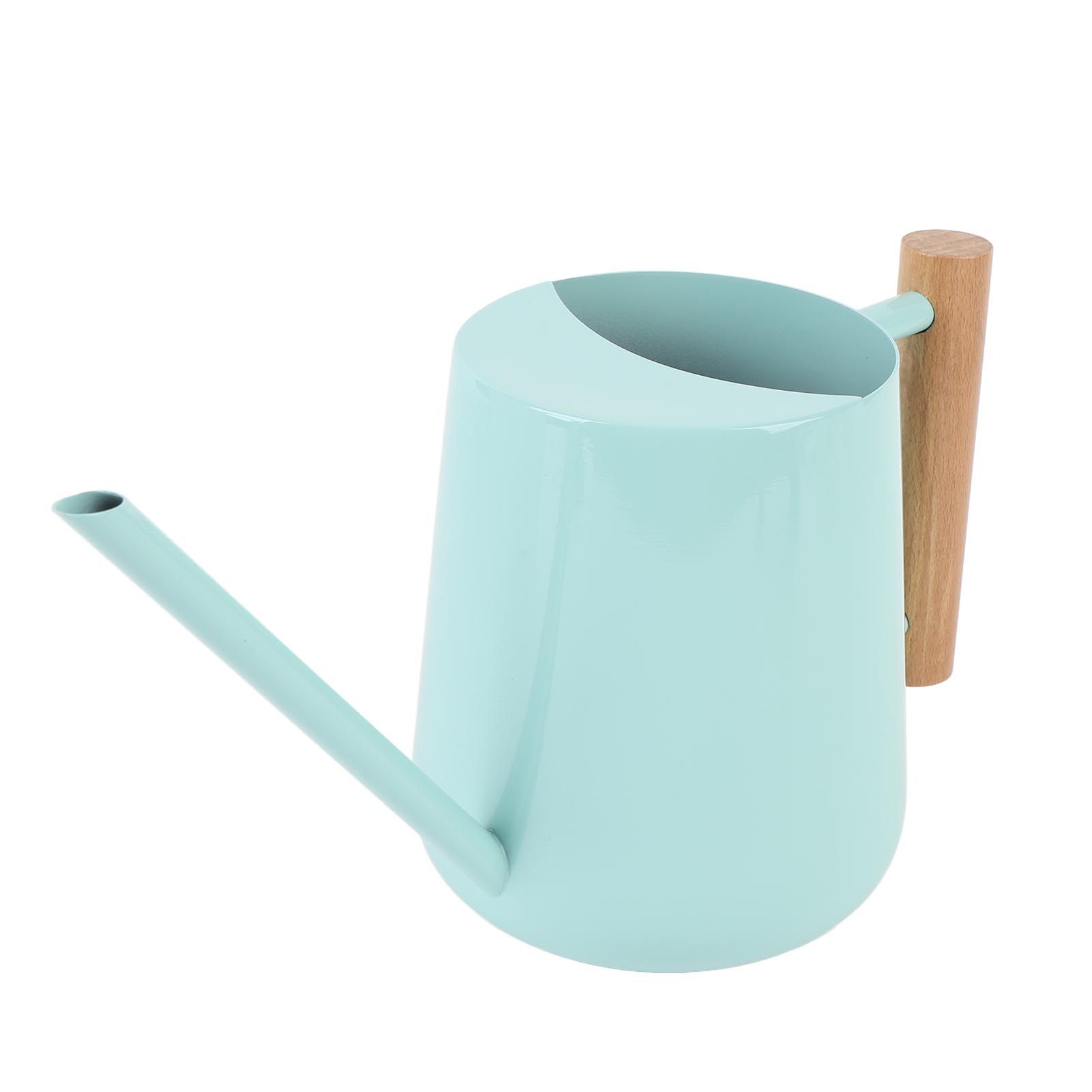 Watering Can Stainless Steel Watering Pot with Wooden Handle for Succulents view 12