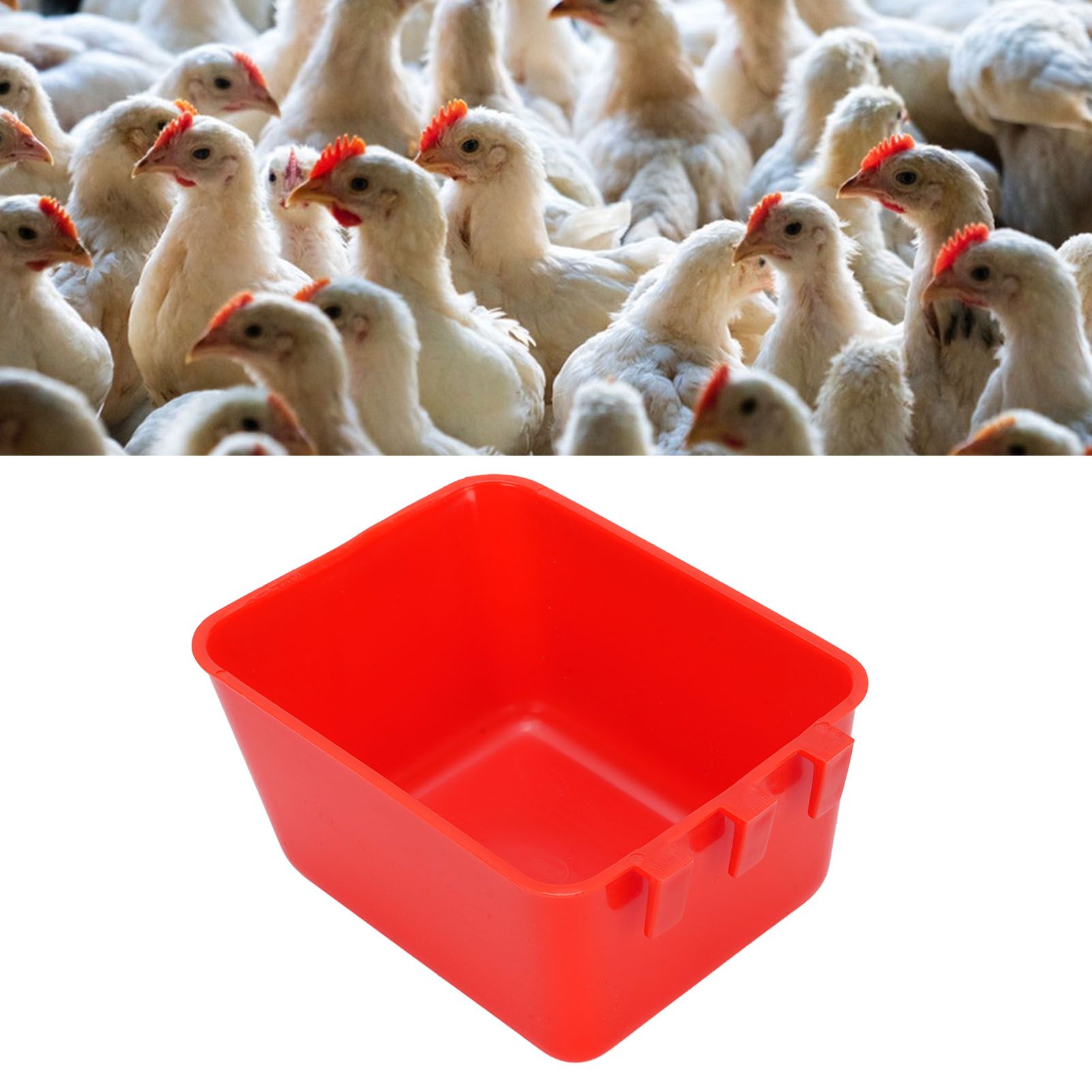 10PCS Hanging Feed Bowls Chicken Cage Feeder Waterer Thickened Feeding view 11