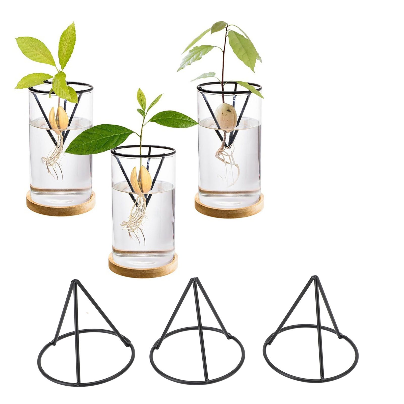 3pcs Avocado Pit Starter Rack Stable Triangular Metal Bracket for 3.4 Inch view 11
